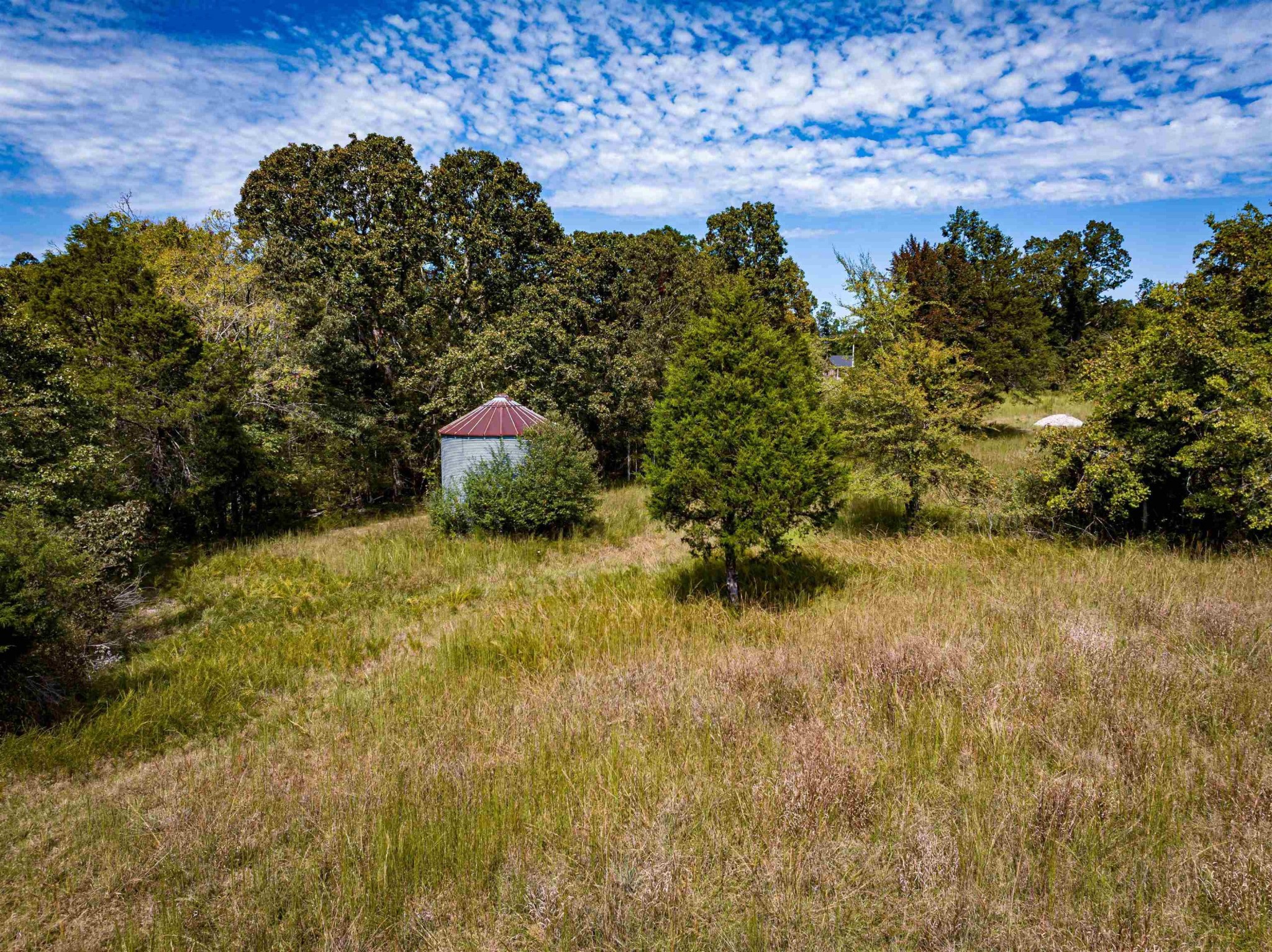 2642 Brodies Landing Road Parsons TN 38363