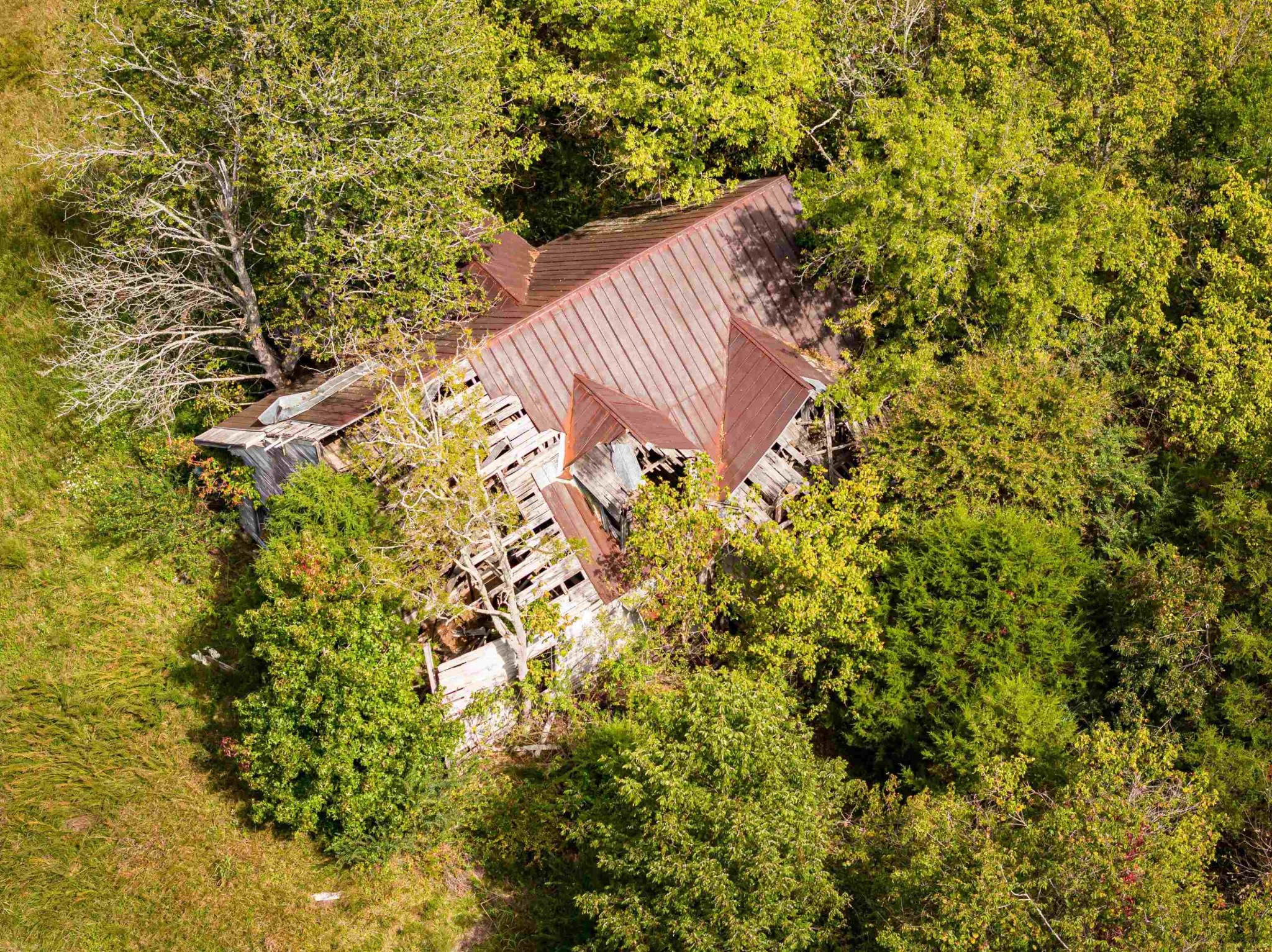 2642 Brodies Landing Road Parsons TN 38363