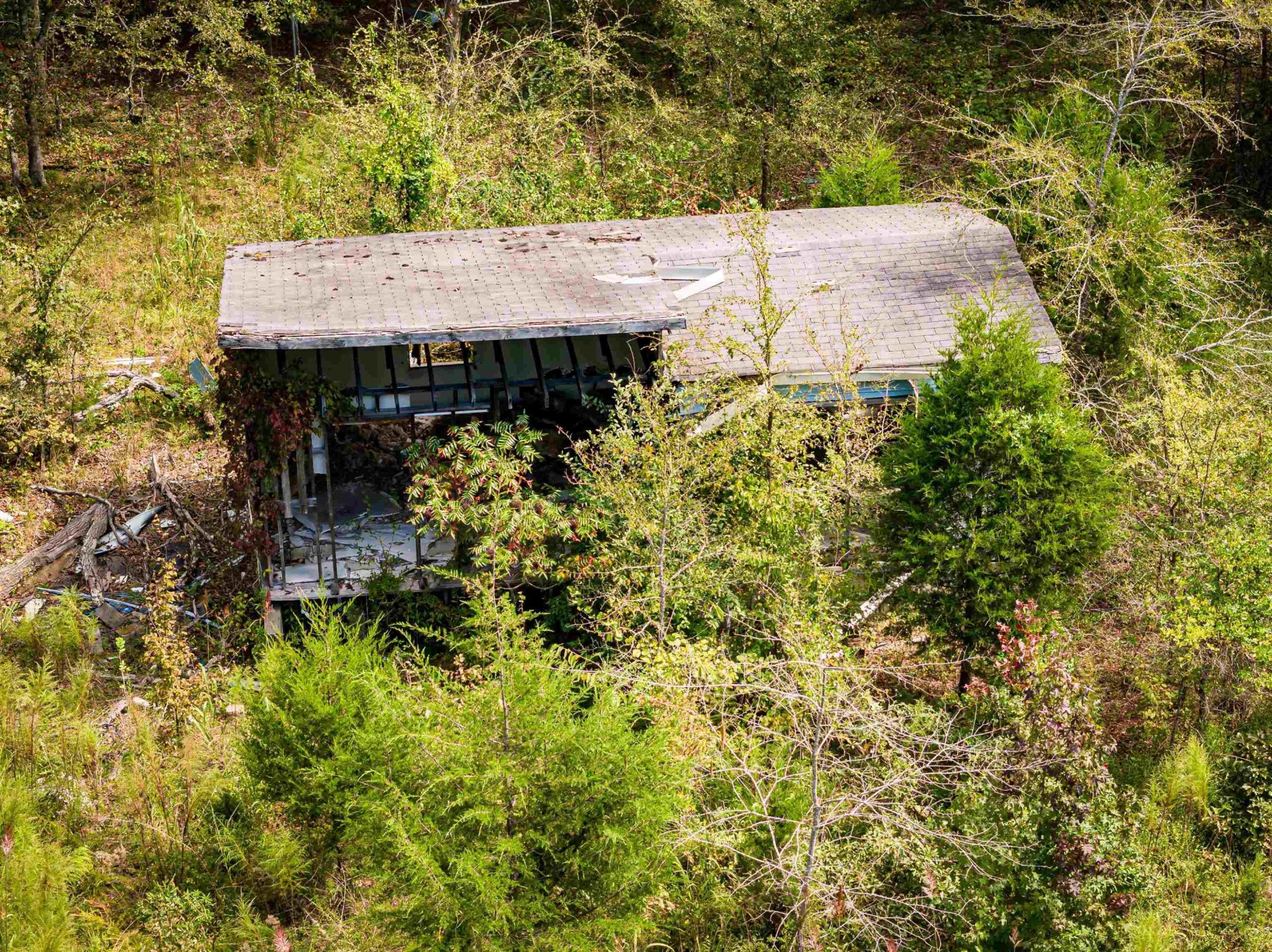 2642 Brodies Landing Road Parsons TN 38363