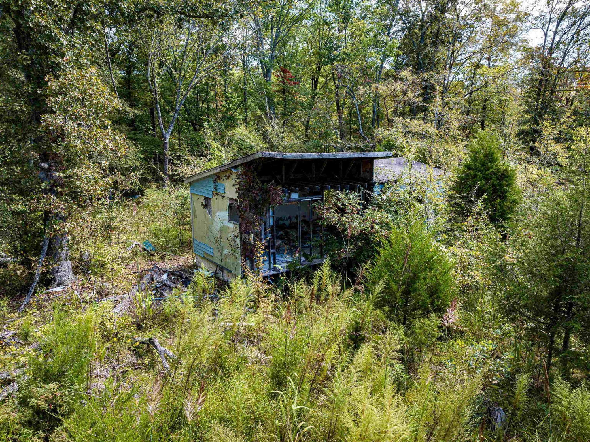 2642 Brodies Landing Road Parsons TN 38363