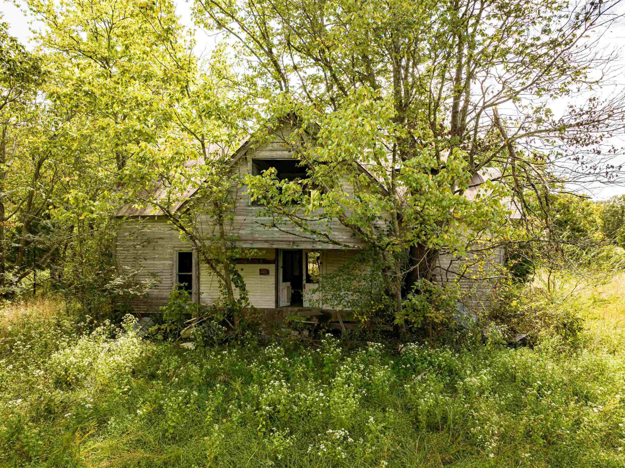 2642 Brodies Landing Road Parsons TN 38363