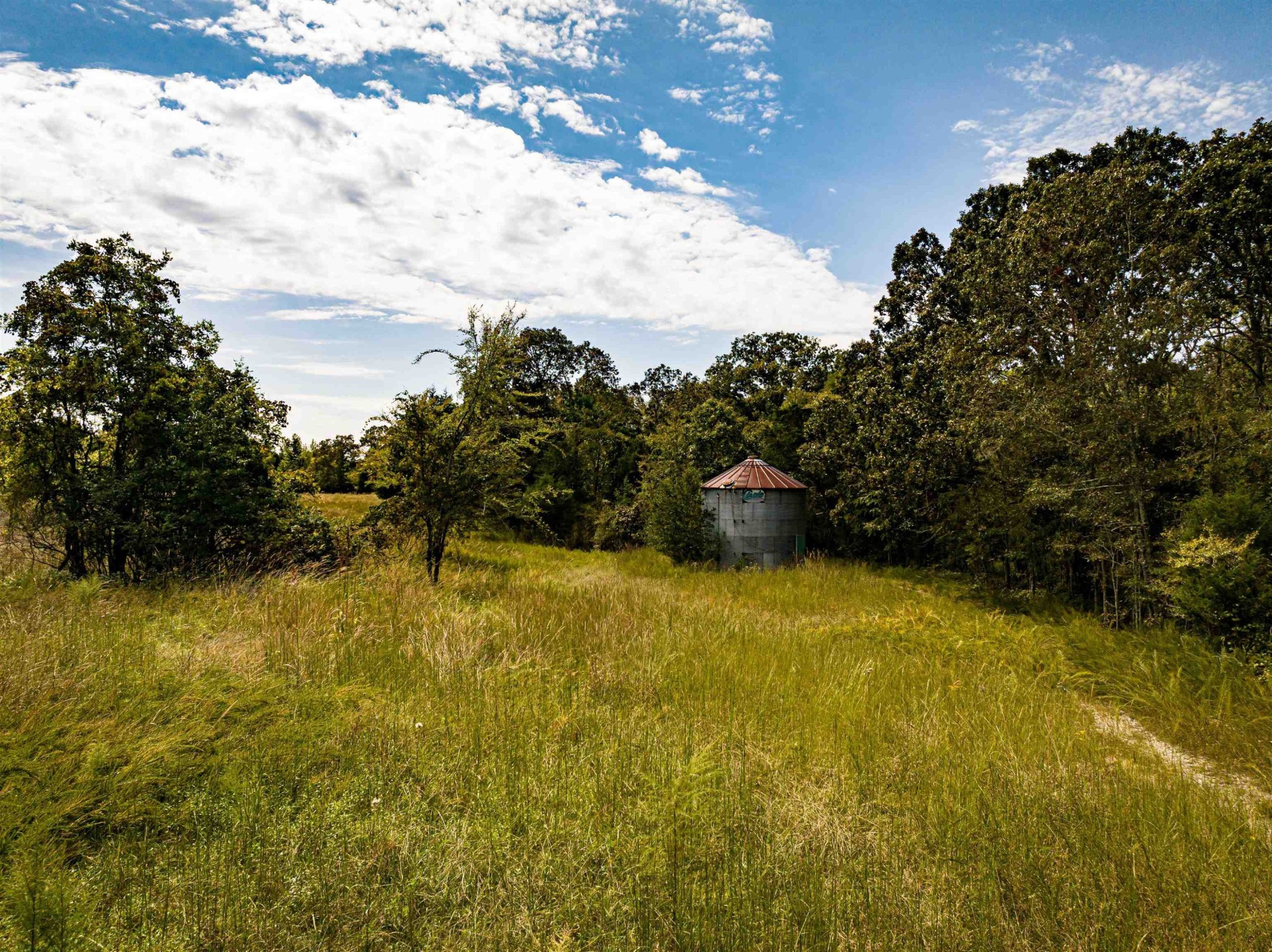 2642 Brodies Landing Road Parsons TN 38363