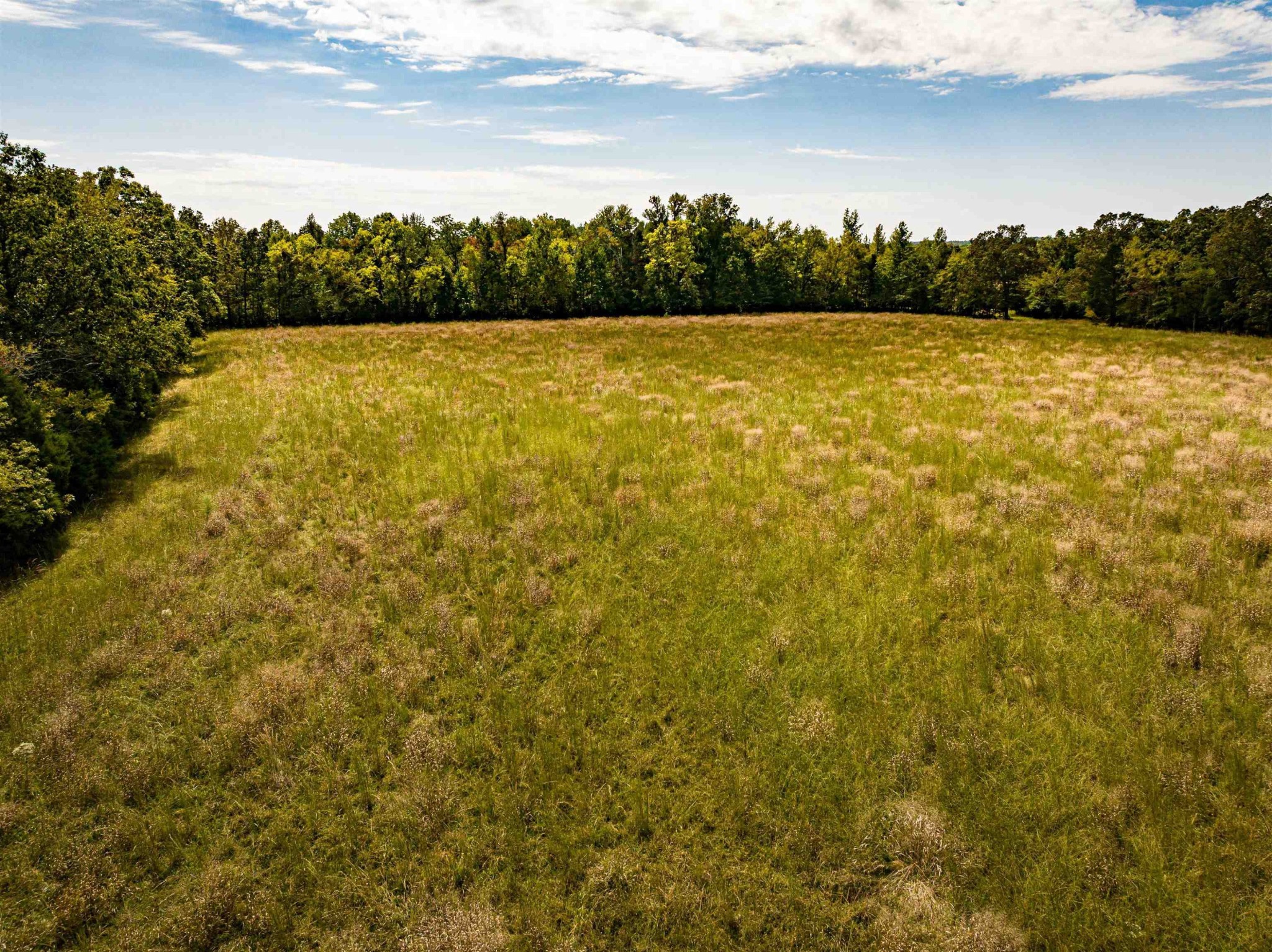 2642 Brodies Landing Road Parsons TN 38363