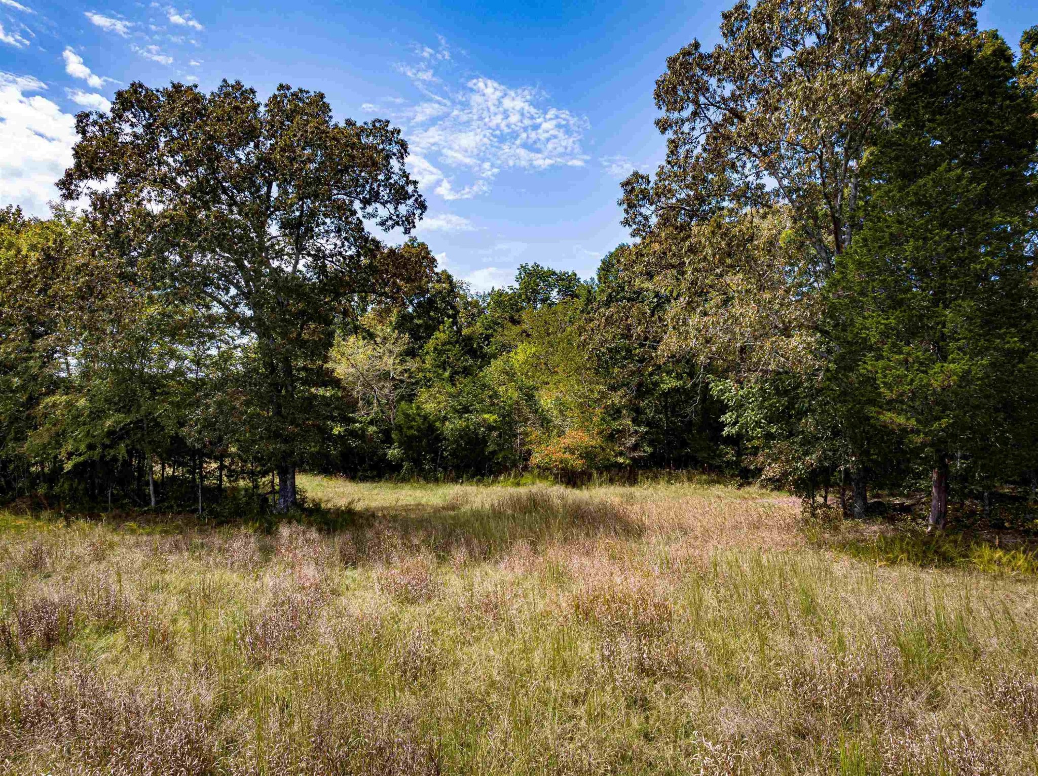 2642 Brodies Landing Road Parsons TN 38363