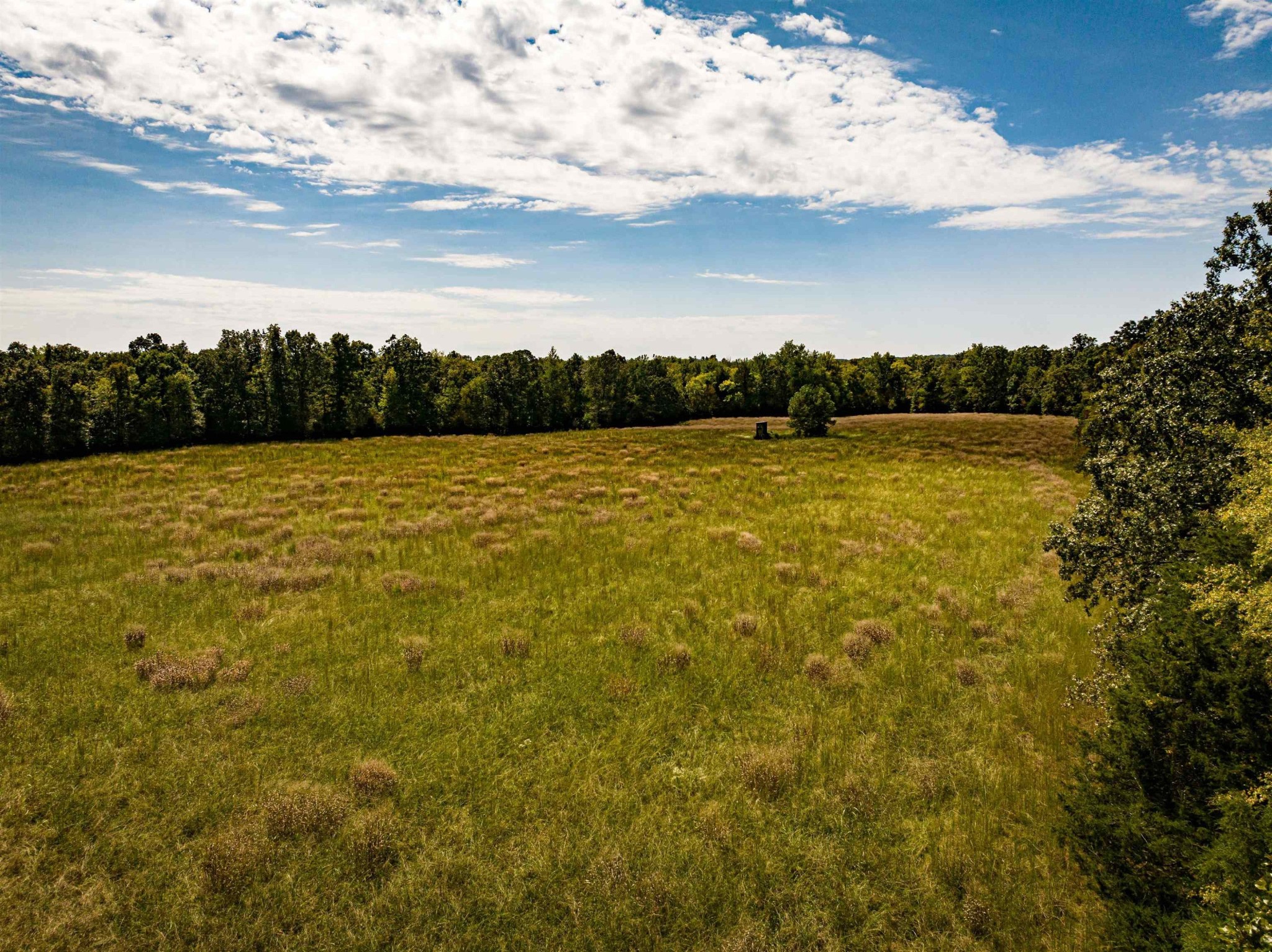 2642 Brodies Landing Road Parsons TN 38363