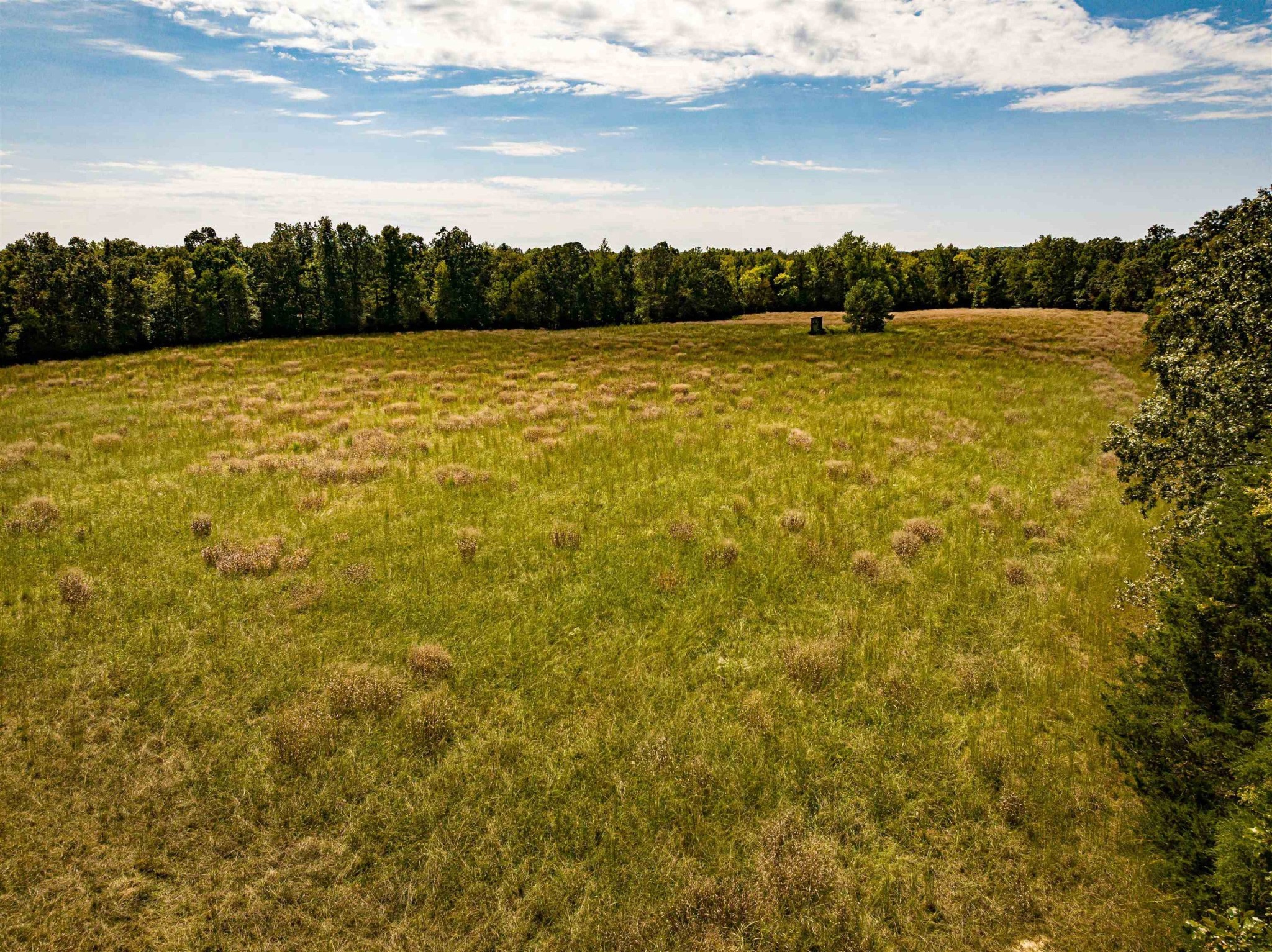 2642 Brodies Landing Road Parsons TN 38363