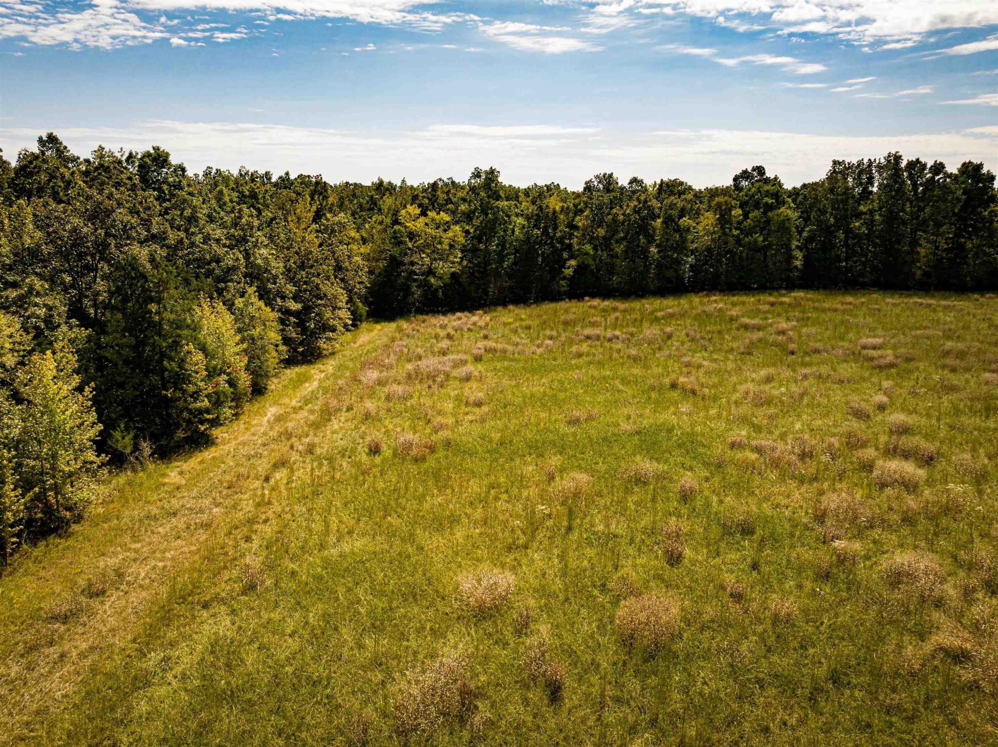 2642 Brodies Landing Road Parsons TN 38363