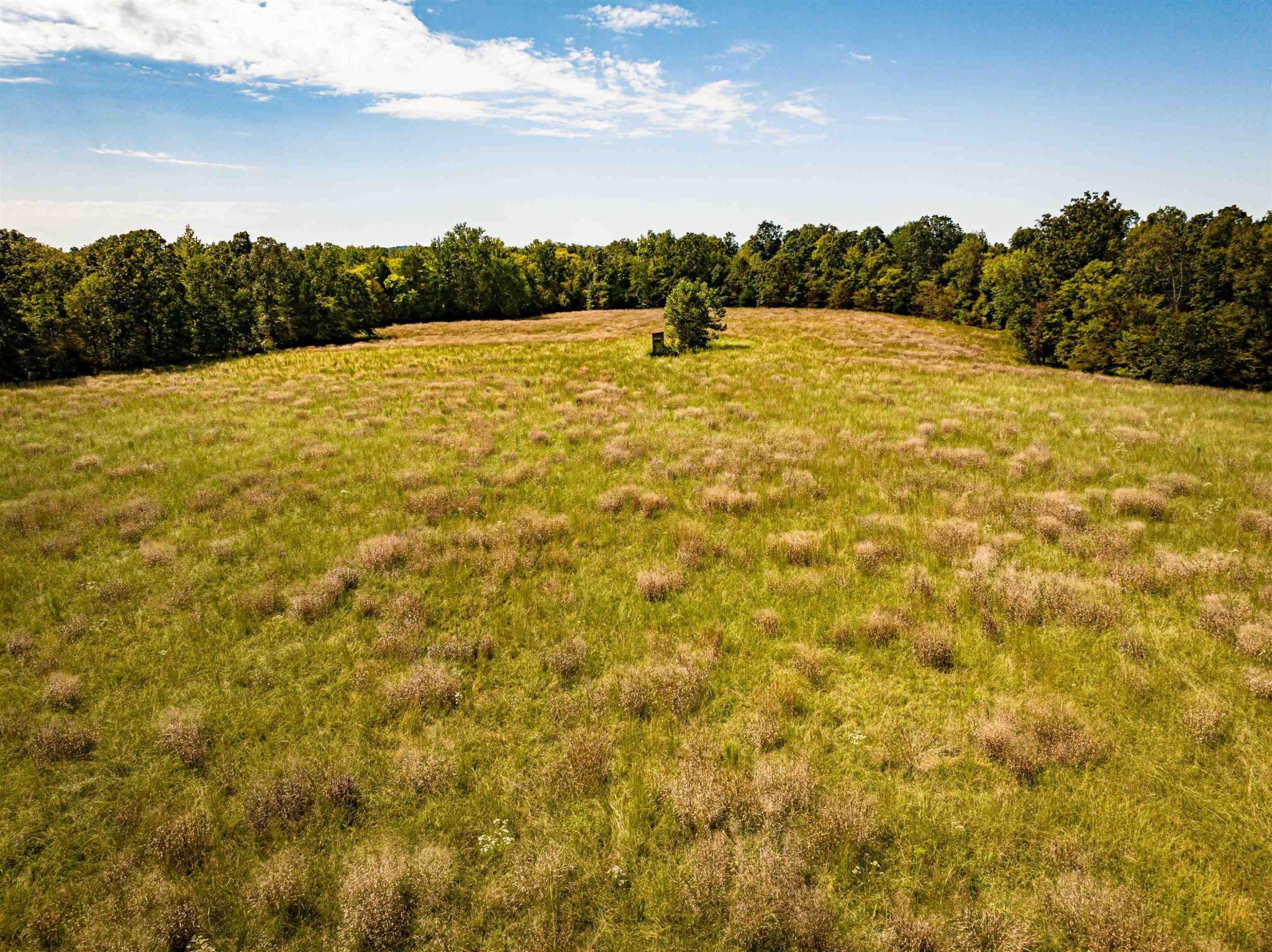 2642 Brodies Landing Road Parsons TN 38363