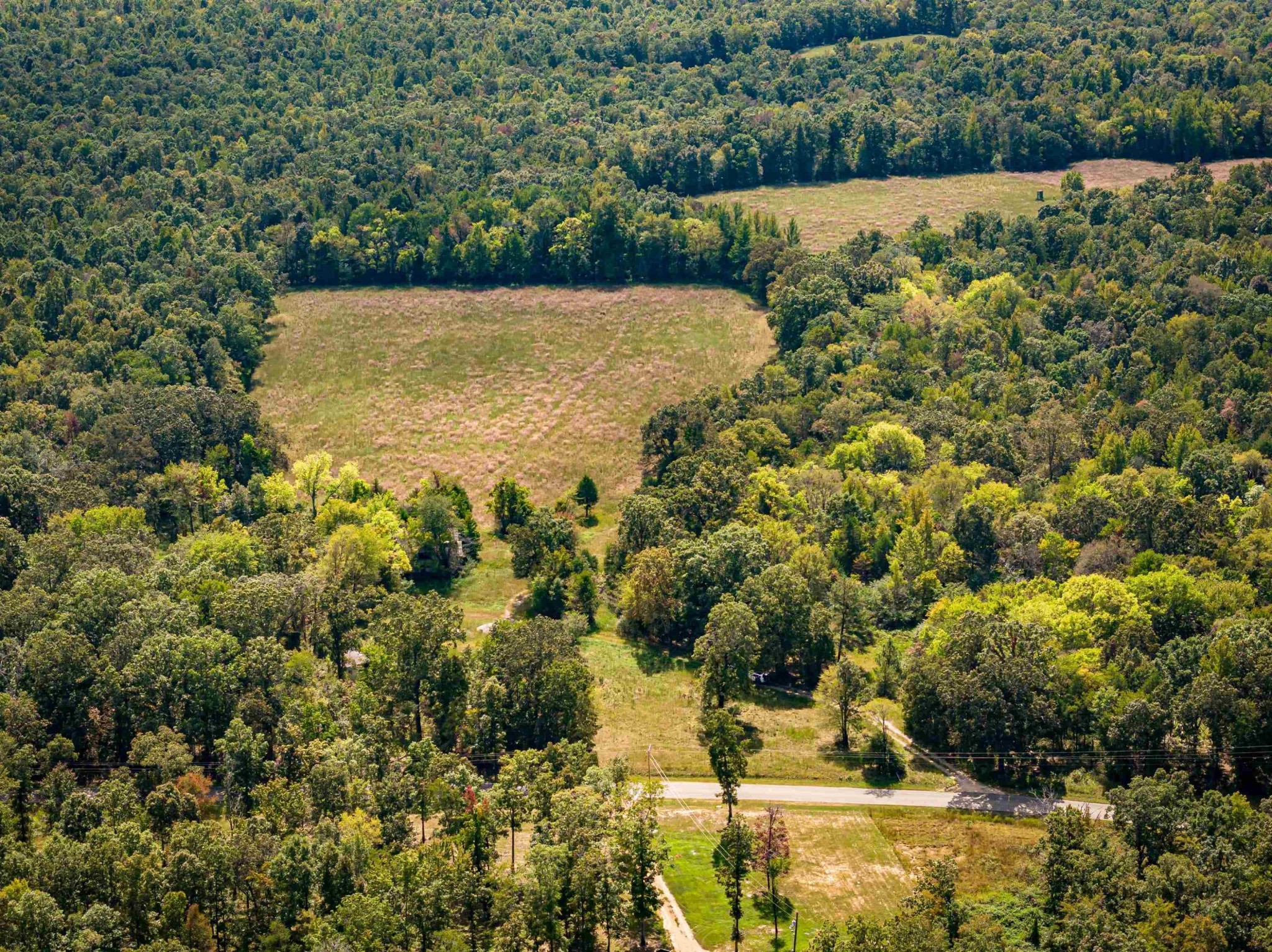 2642 Brodies Landing Road Parsons TN 38363