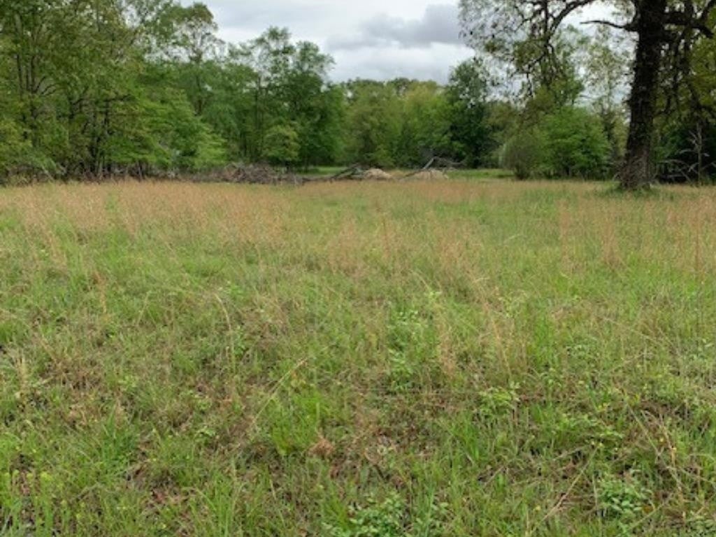 2642 Brodies Landing Road Parsons TN 38363