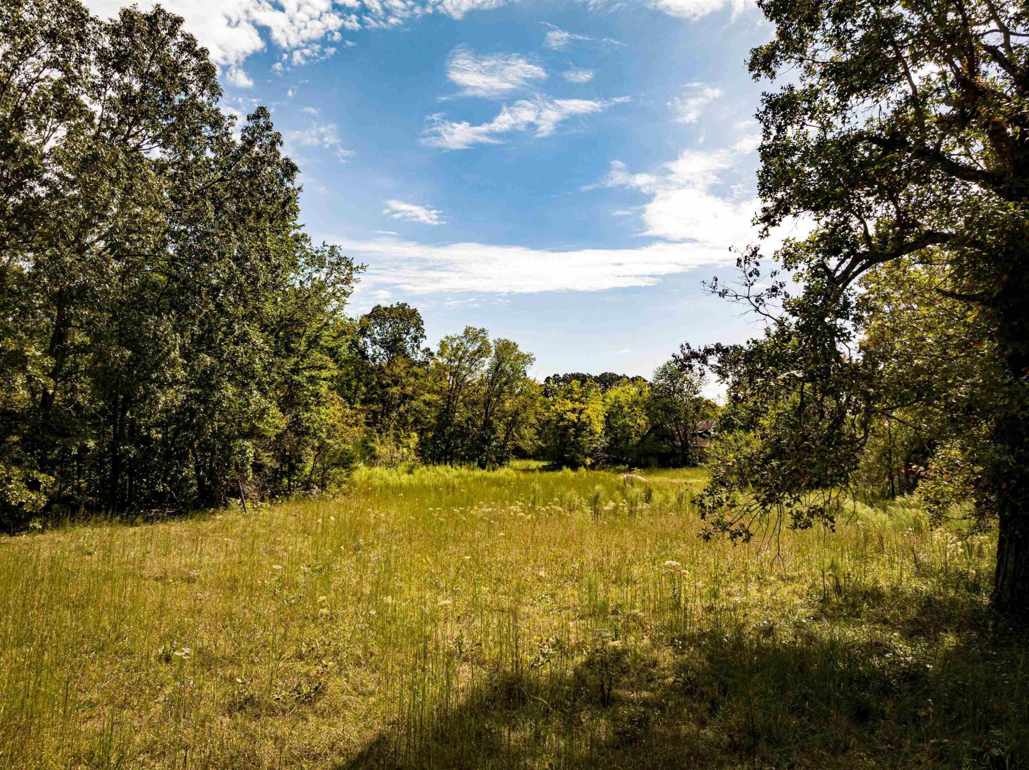 2642 Brodies Landing Road Parsons TN 38363