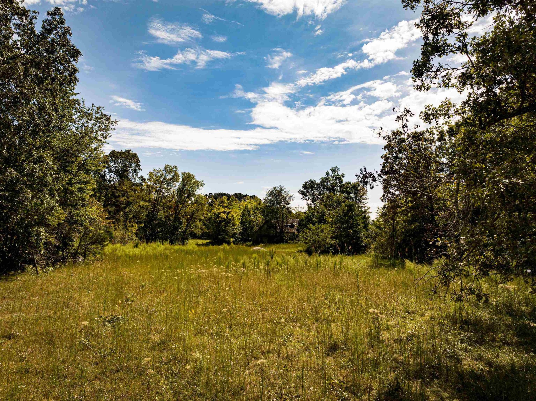 2642 Brodies Landing Road Parsons TN 38363