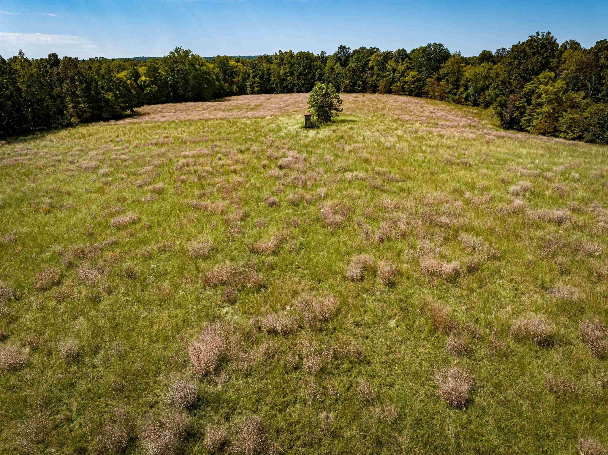 2642 Brodies Landing Road Parsons TN 38363