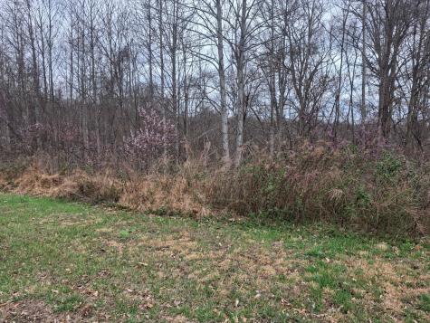 0 Hunters Landing Lane Smithville TN 37166