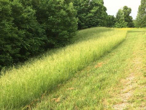 0 Hunters Landing Lane Smithville TN 37166