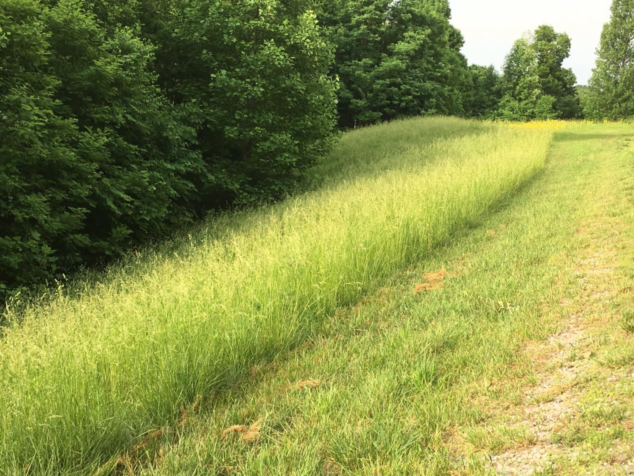 0 Hunters Landing Lane Smithville TN 37166