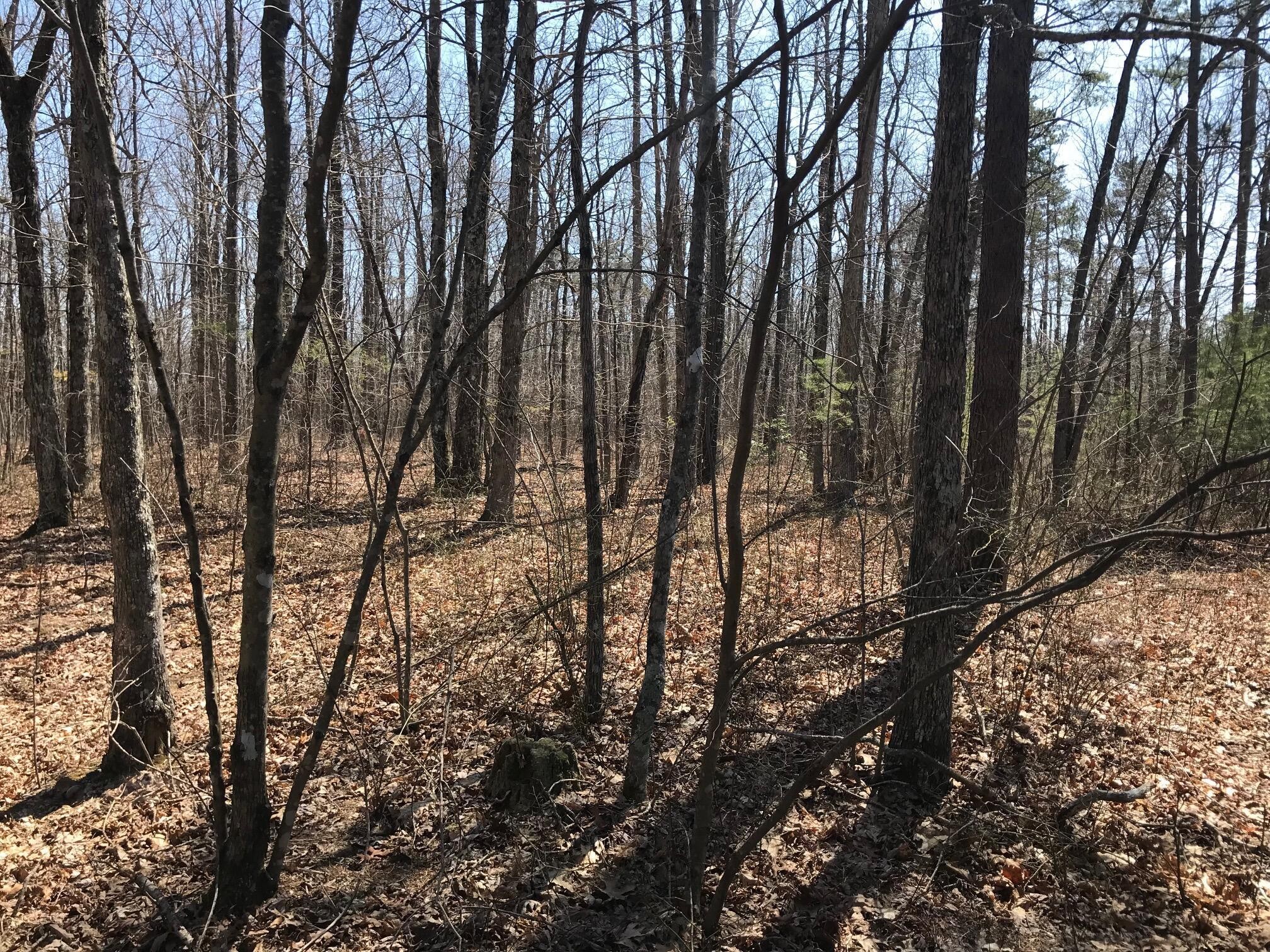 0 Greenfields Way N Dunlap TN 37327