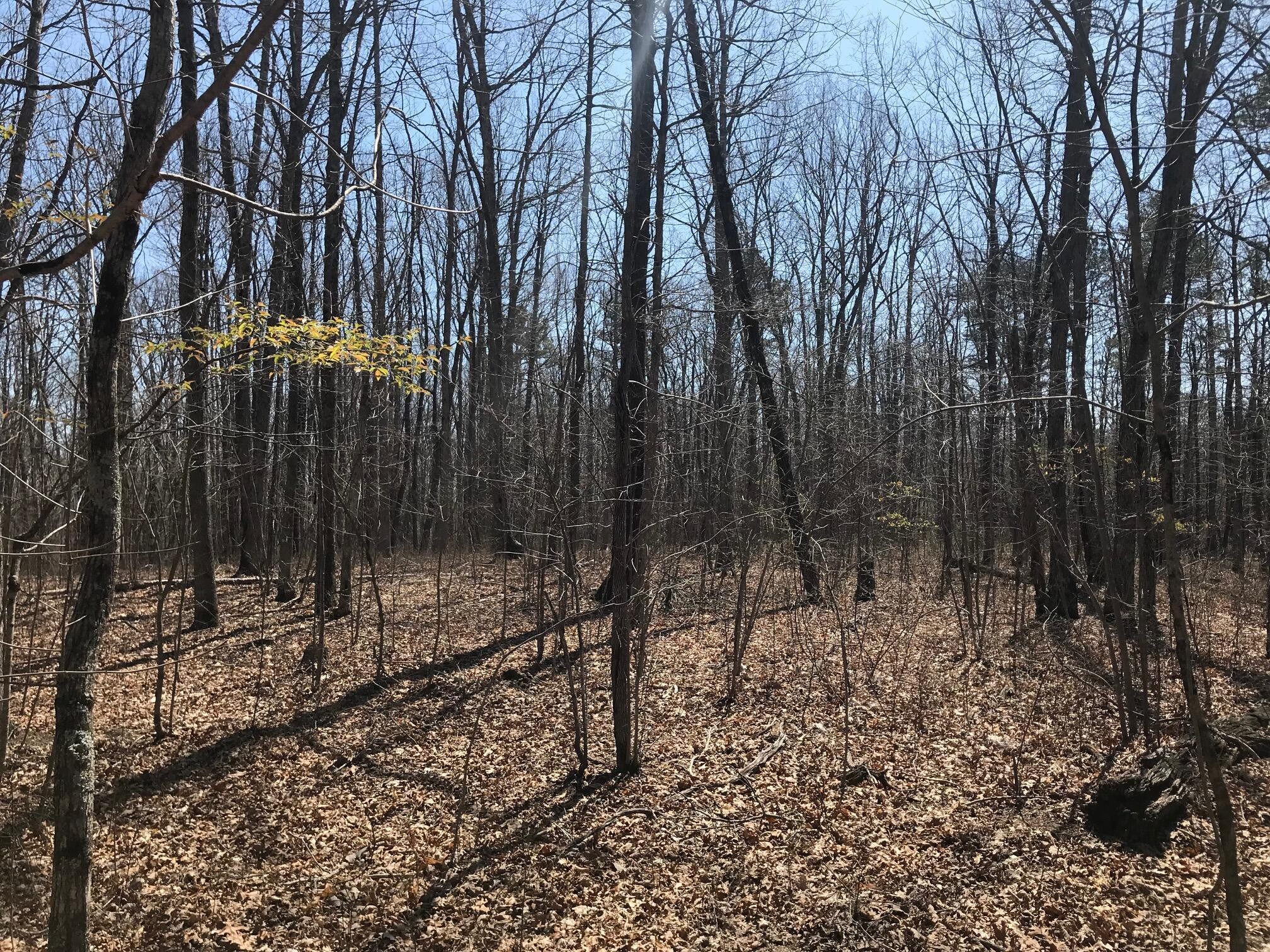 0 Greenfields Way N Dunlap TN 37327