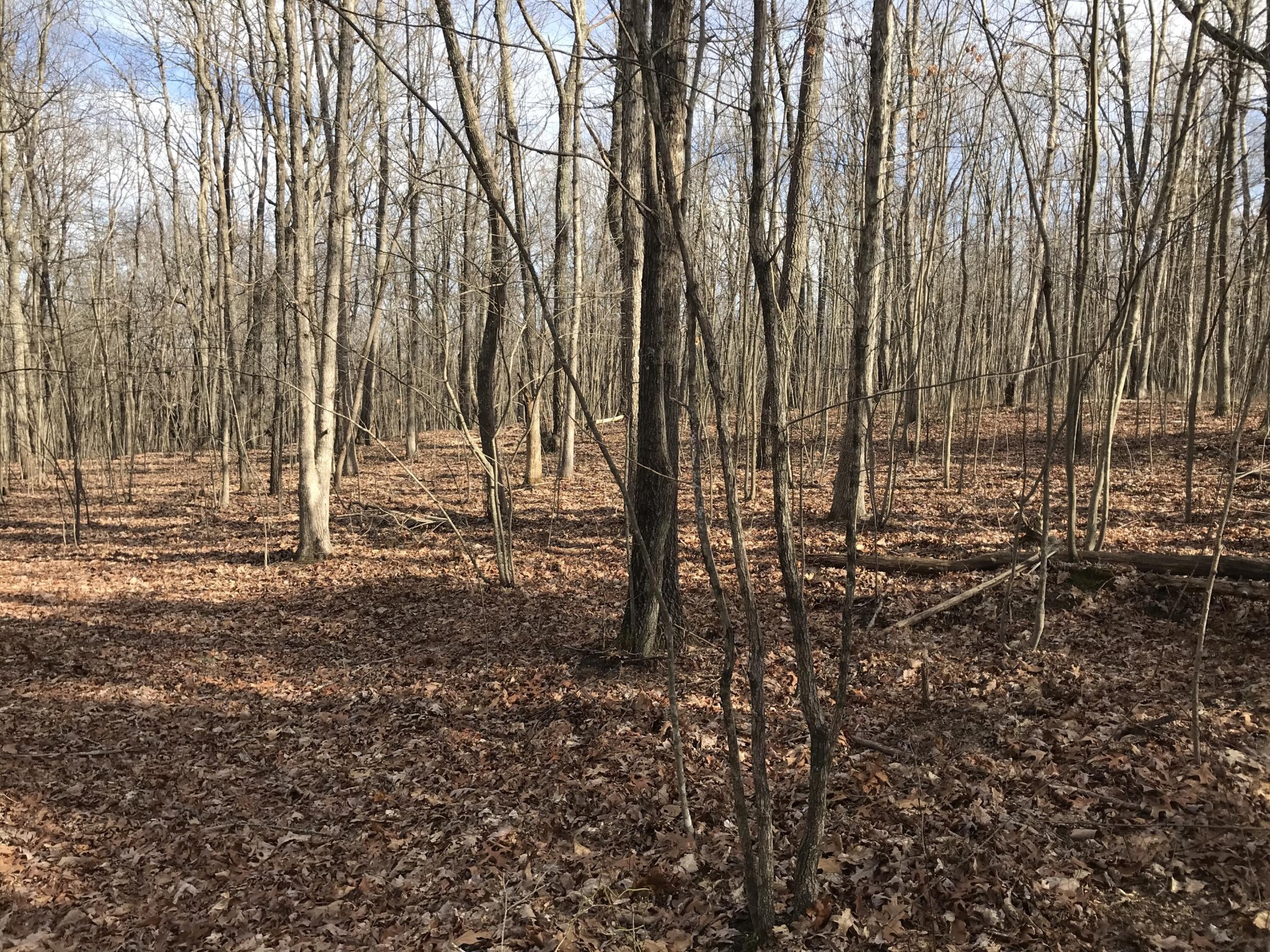 0 Greenfields Way N Dunlap TN 37327