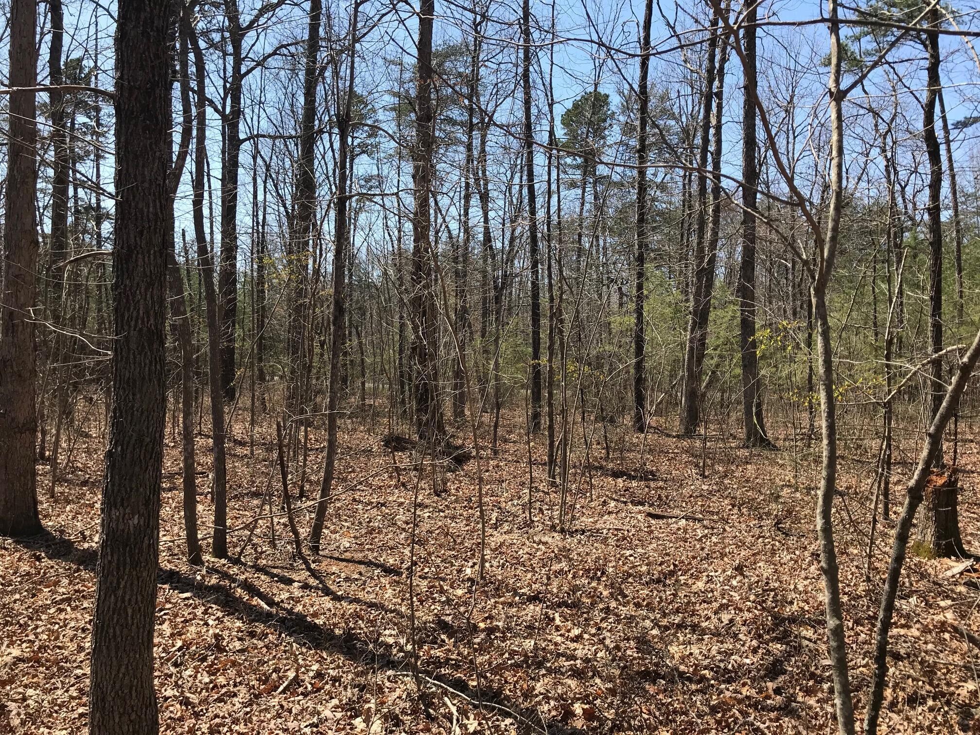 0 Greenfields Way N Dunlap TN 37327