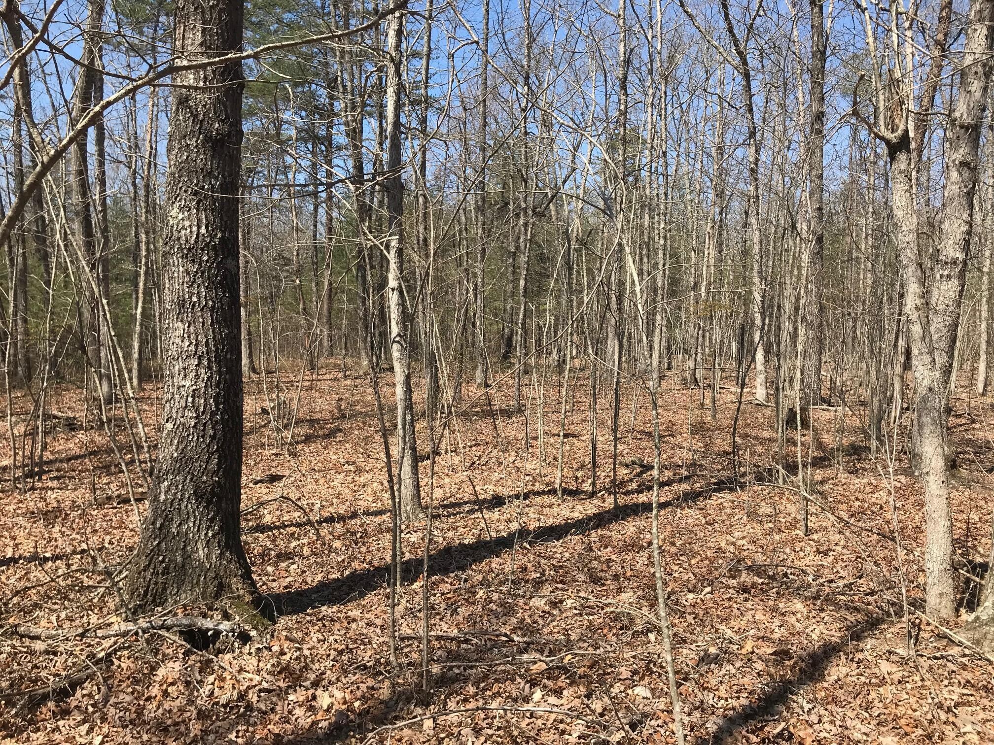 0 Greenfields Way N Dunlap TN 37327