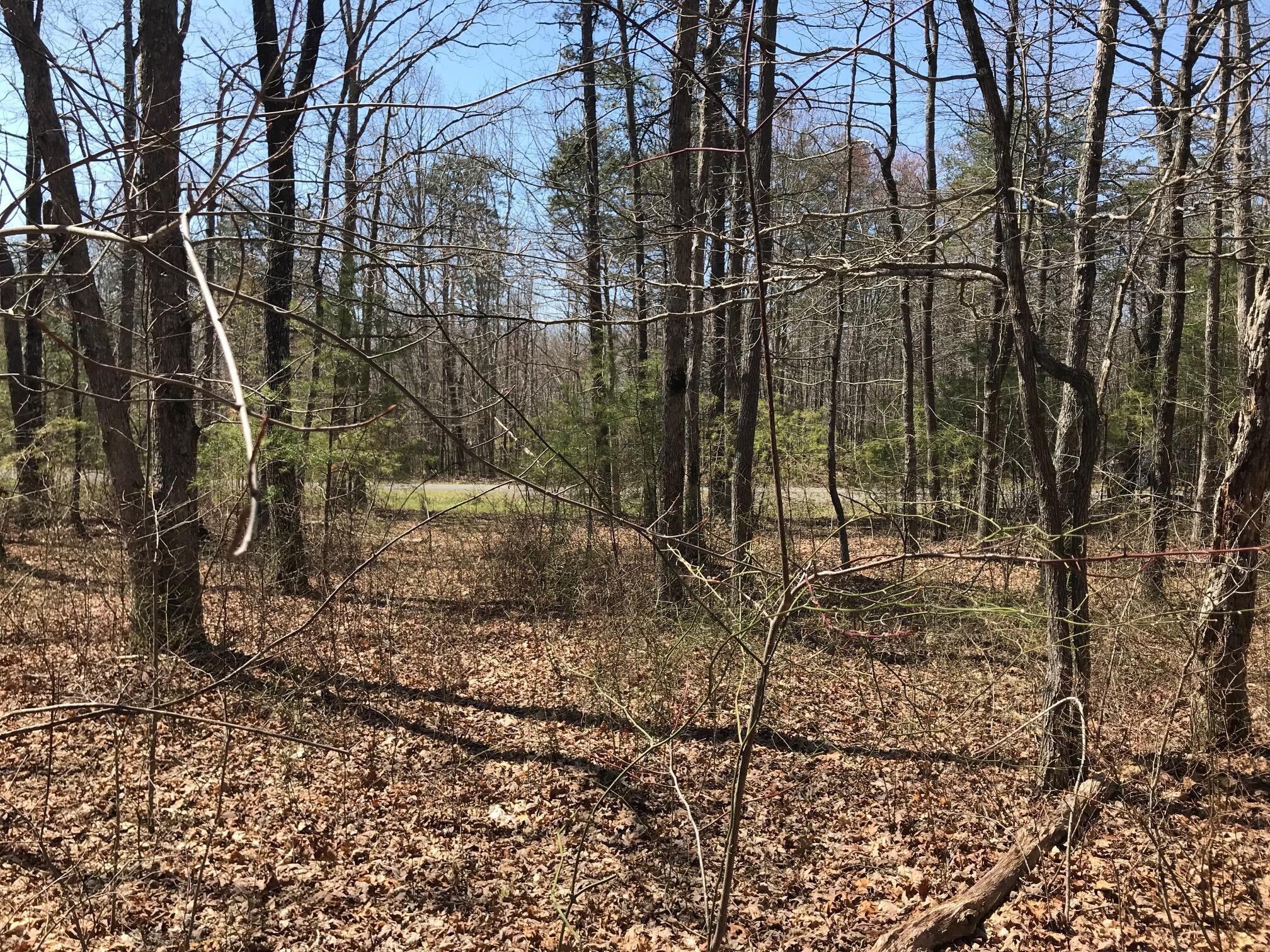 0 Greenfields Way N Dunlap TN 37327