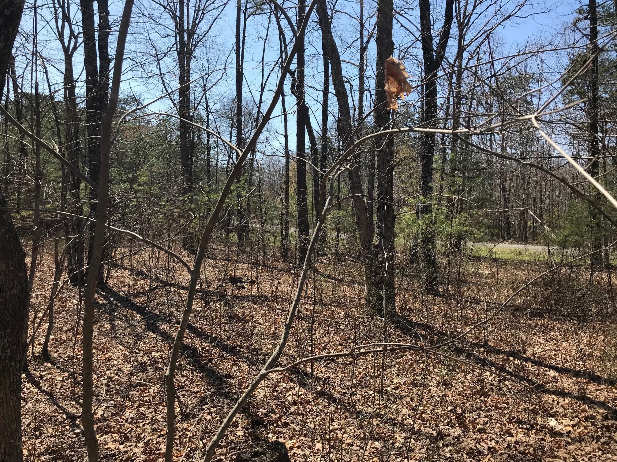 0 Greenfields Way N Dunlap TN 37327