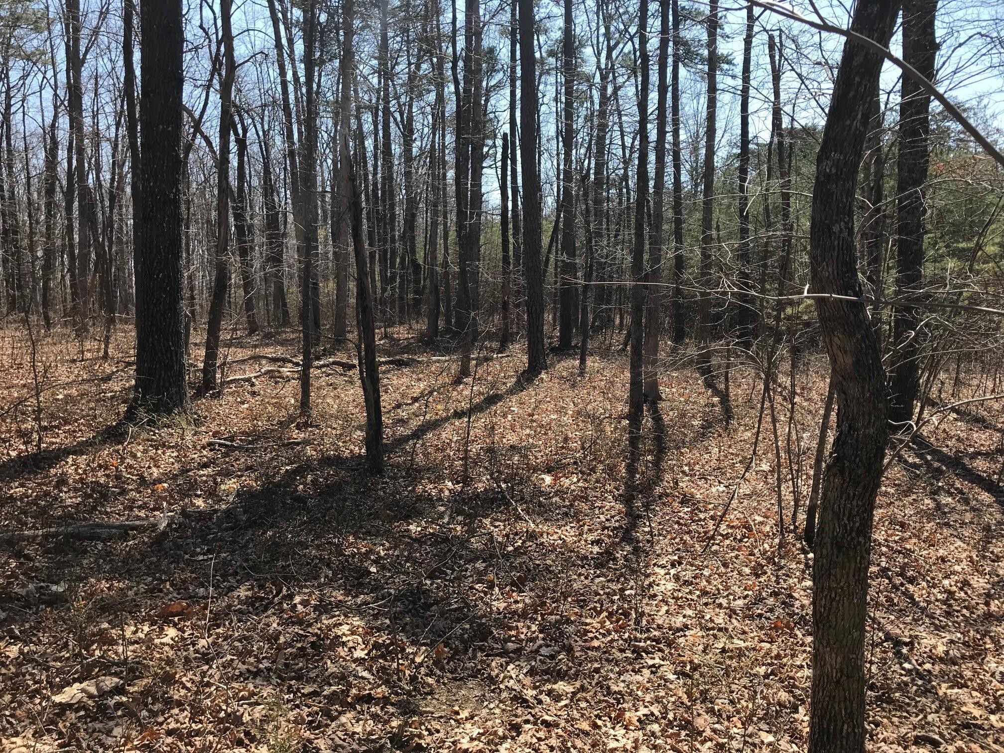 0 Greenfields Way N Dunlap TN 37327