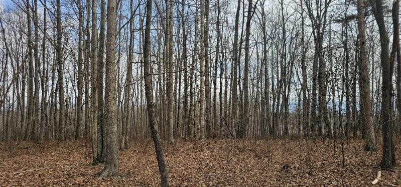 0 Greenfields Way N Dunlap TN 37327