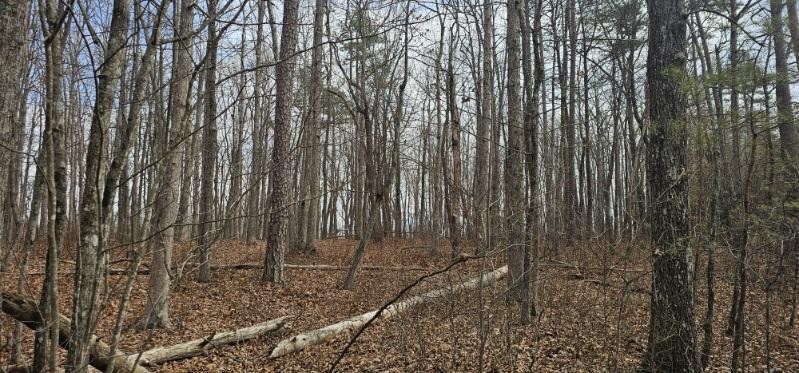 0 Greenfields Way N Dunlap TN 37327