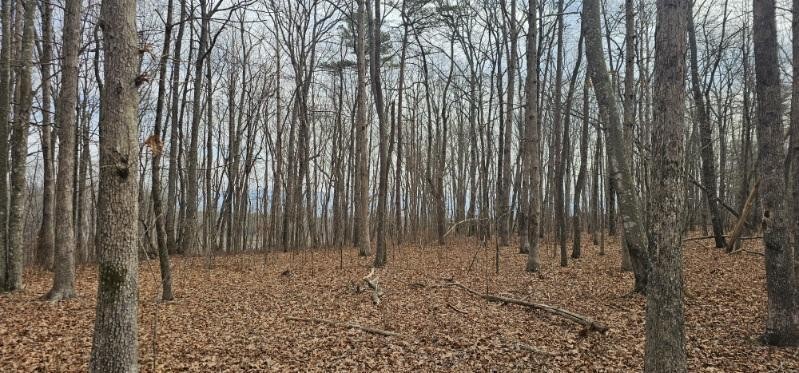 0 Greenfields Way N Dunlap TN 37327