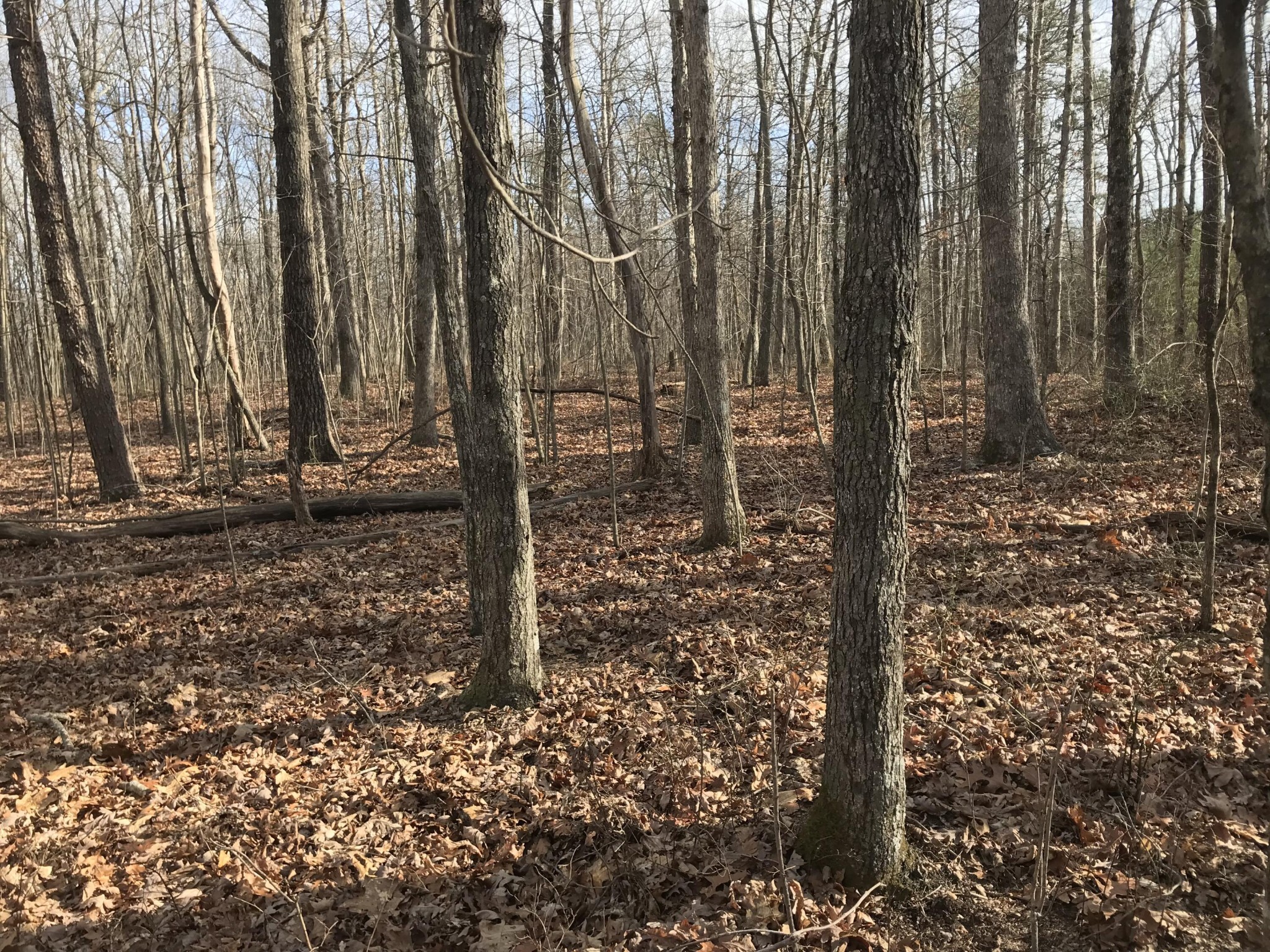 0 Greenfields Way N Dunlap TN 37327