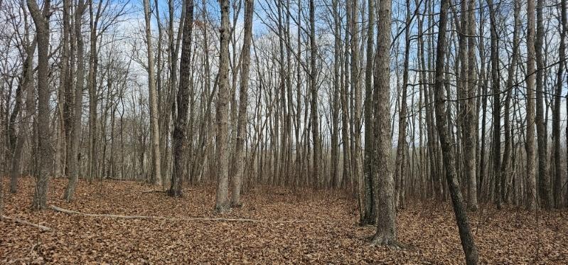 0 Greenfields Way N Dunlap TN 37327