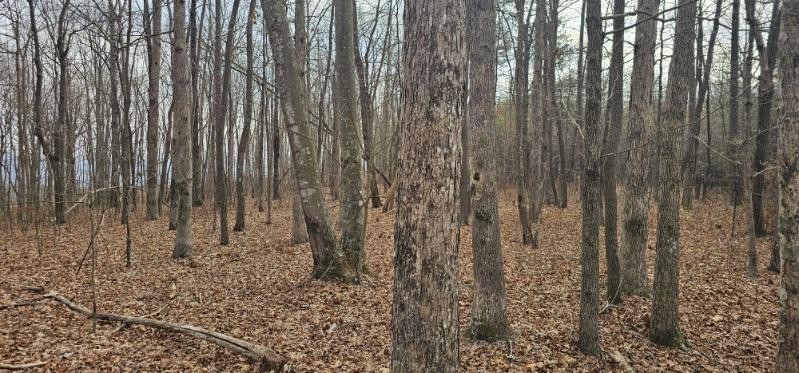 0 Greenfields Way N Dunlap TN 37327