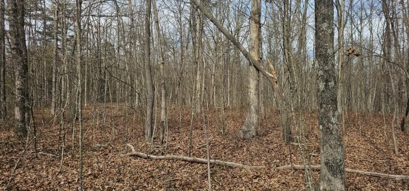 0 Greenfields Way N Dunlap TN 37327