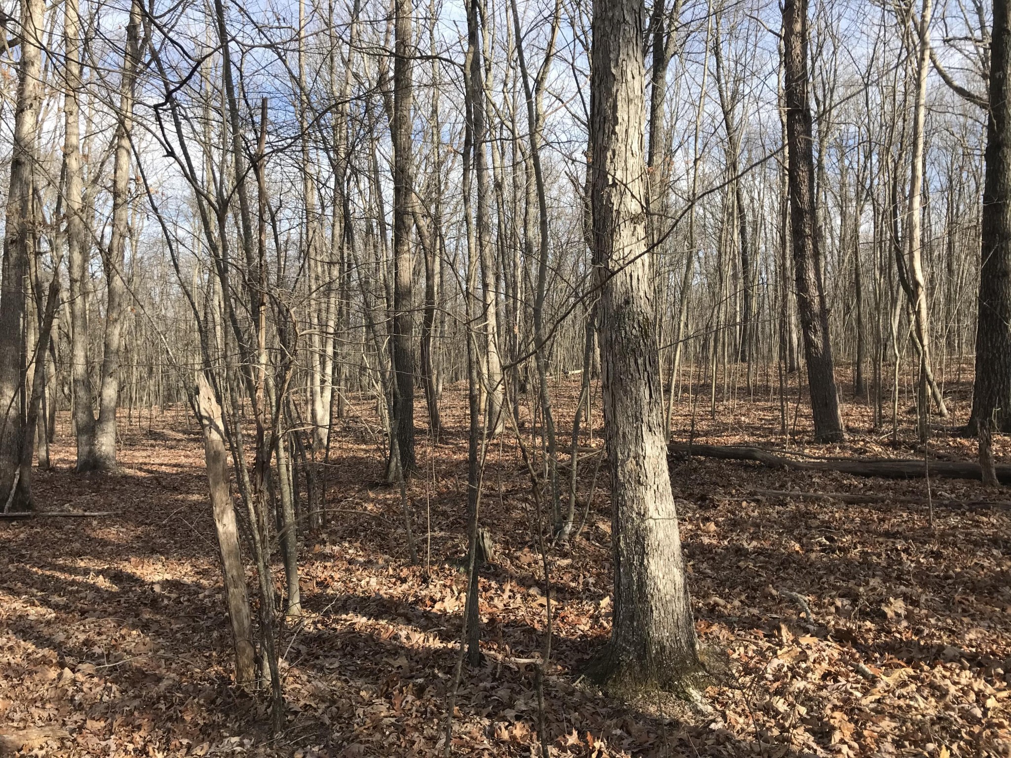 0 Greenfields Way N Dunlap TN 37327