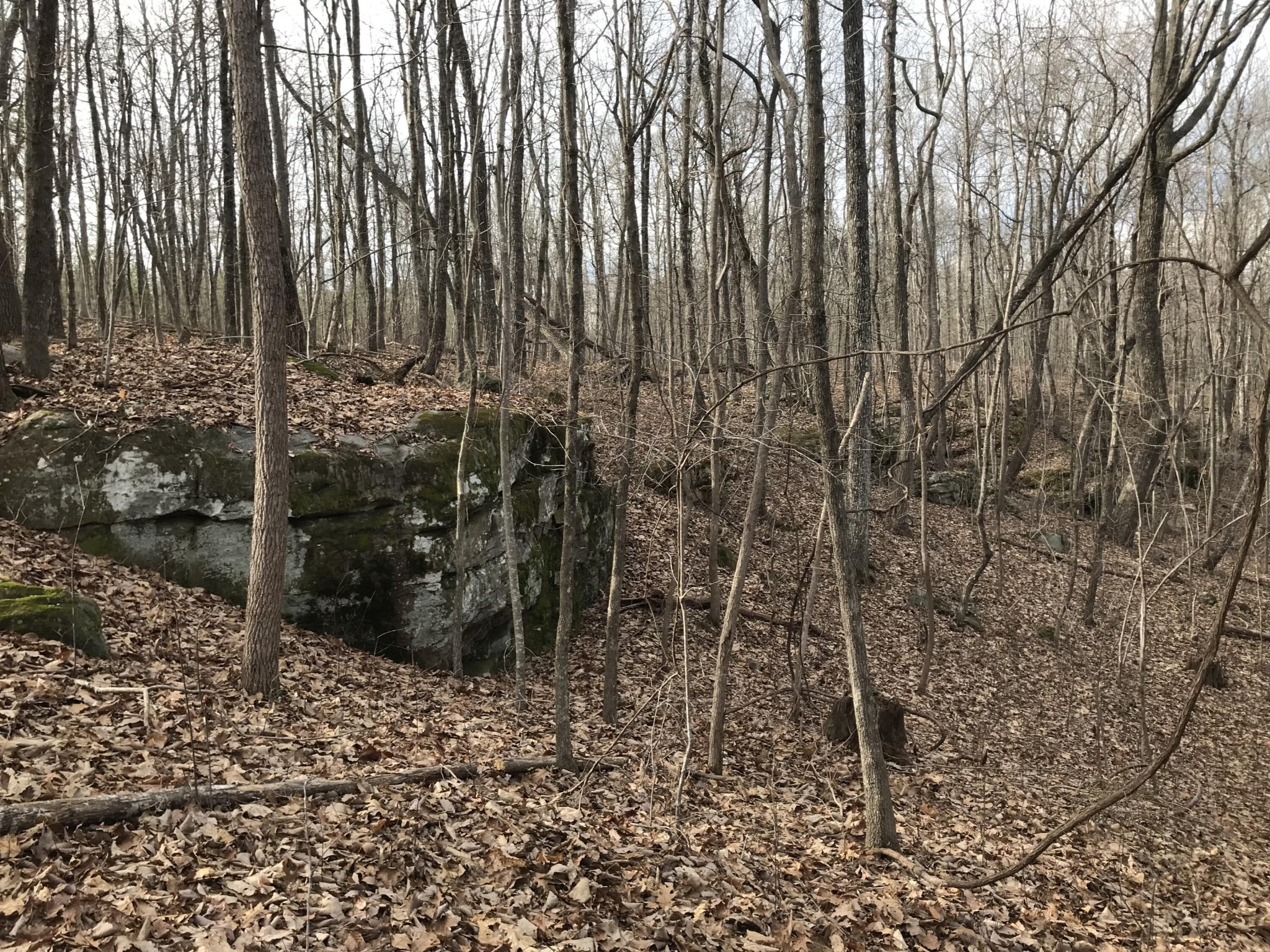 0 Greenfields Way N Dunlap TN 37327