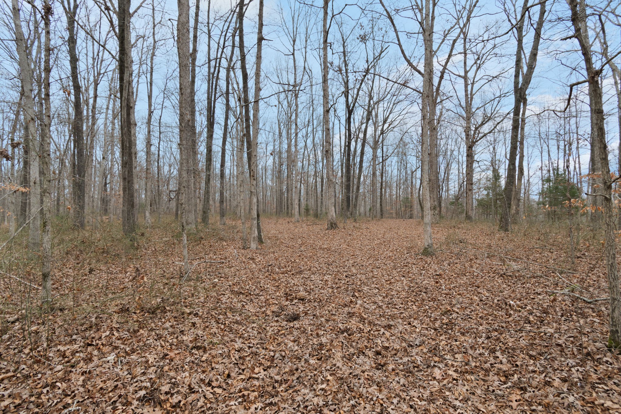 6000 Garrison Springs Road Franklin TN 37064