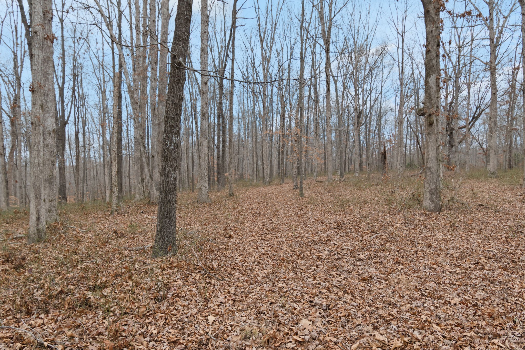 6000 Garrison Springs Road Franklin TN 37064