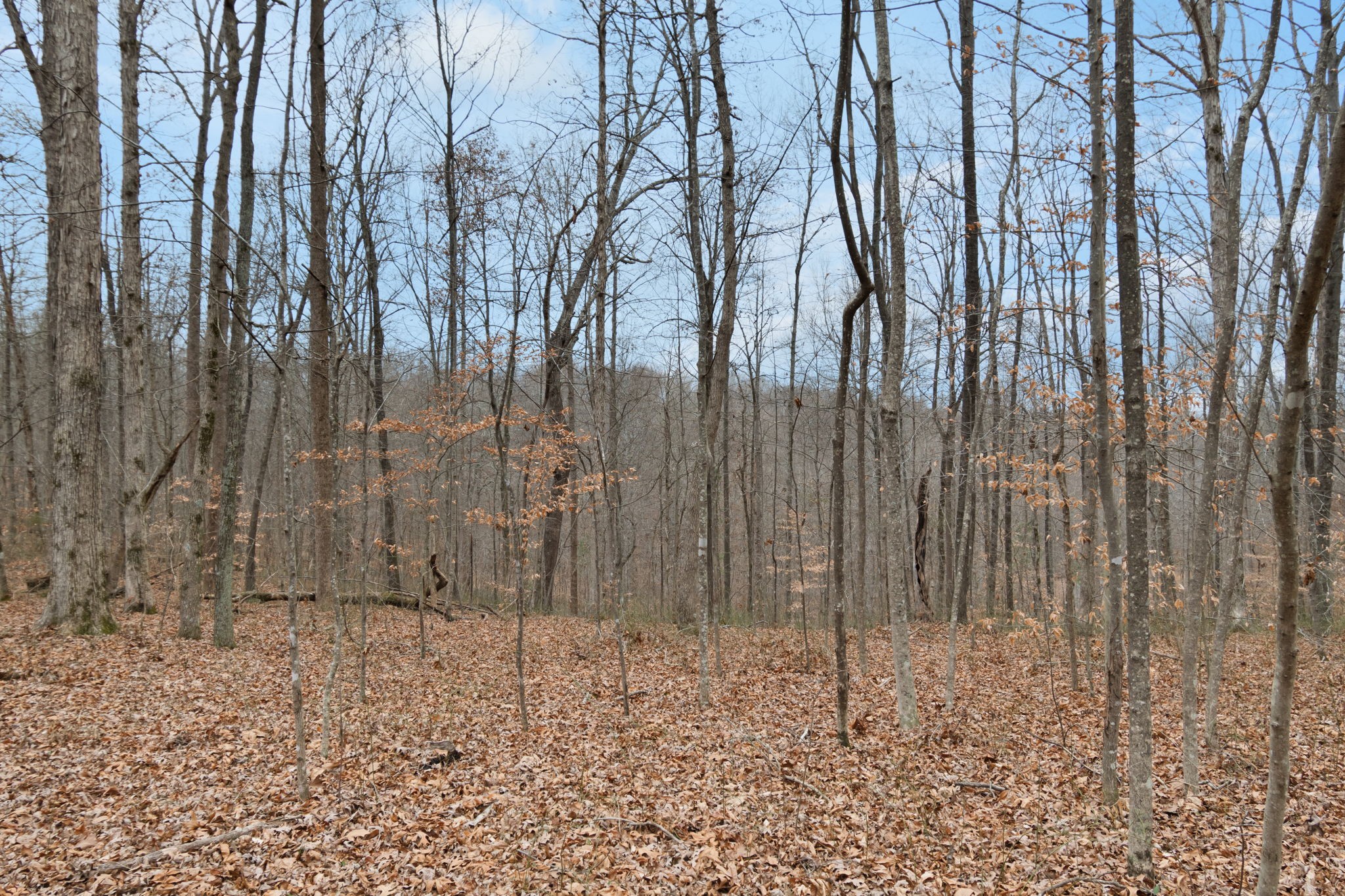 6000 Garrison Springs Road Franklin TN 37064