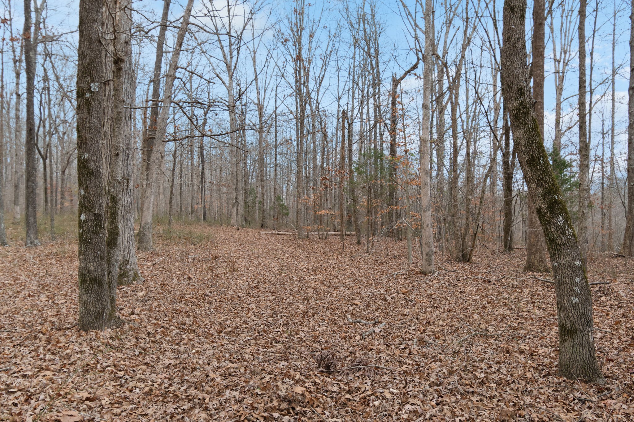 6000 Garrison Springs Road Franklin TN 37064