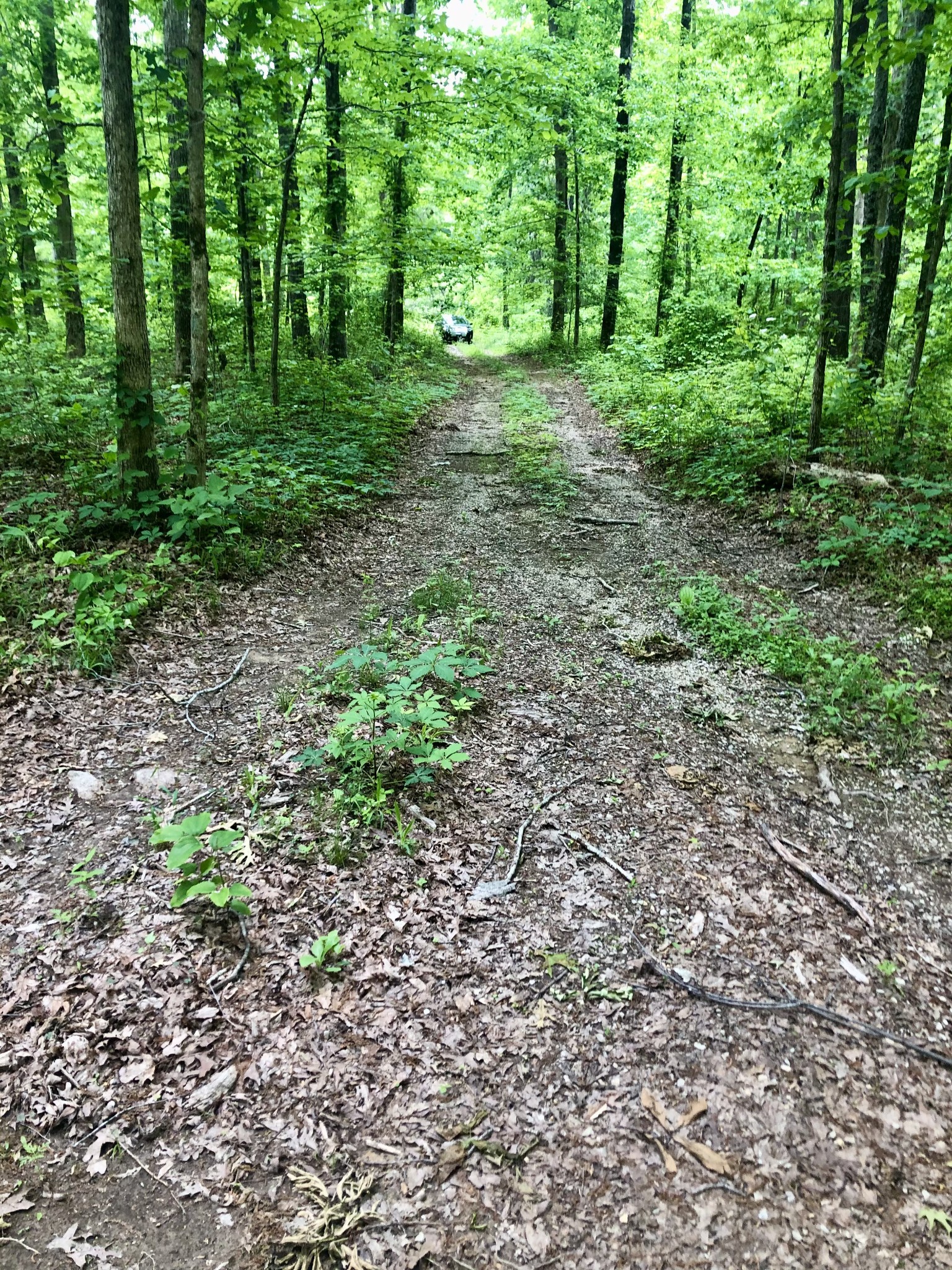 6000 Garrison Springs Road Franklin TN 37064