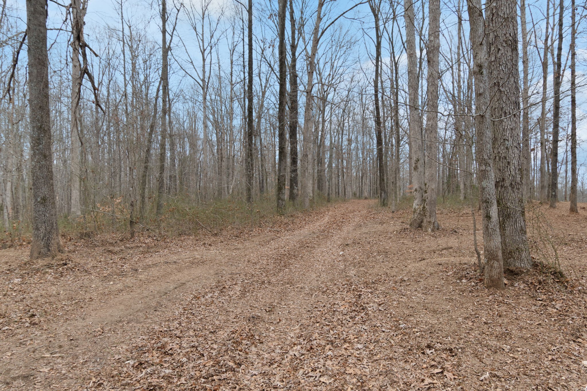 6000 Garrison Springs Road Franklin TN 37064