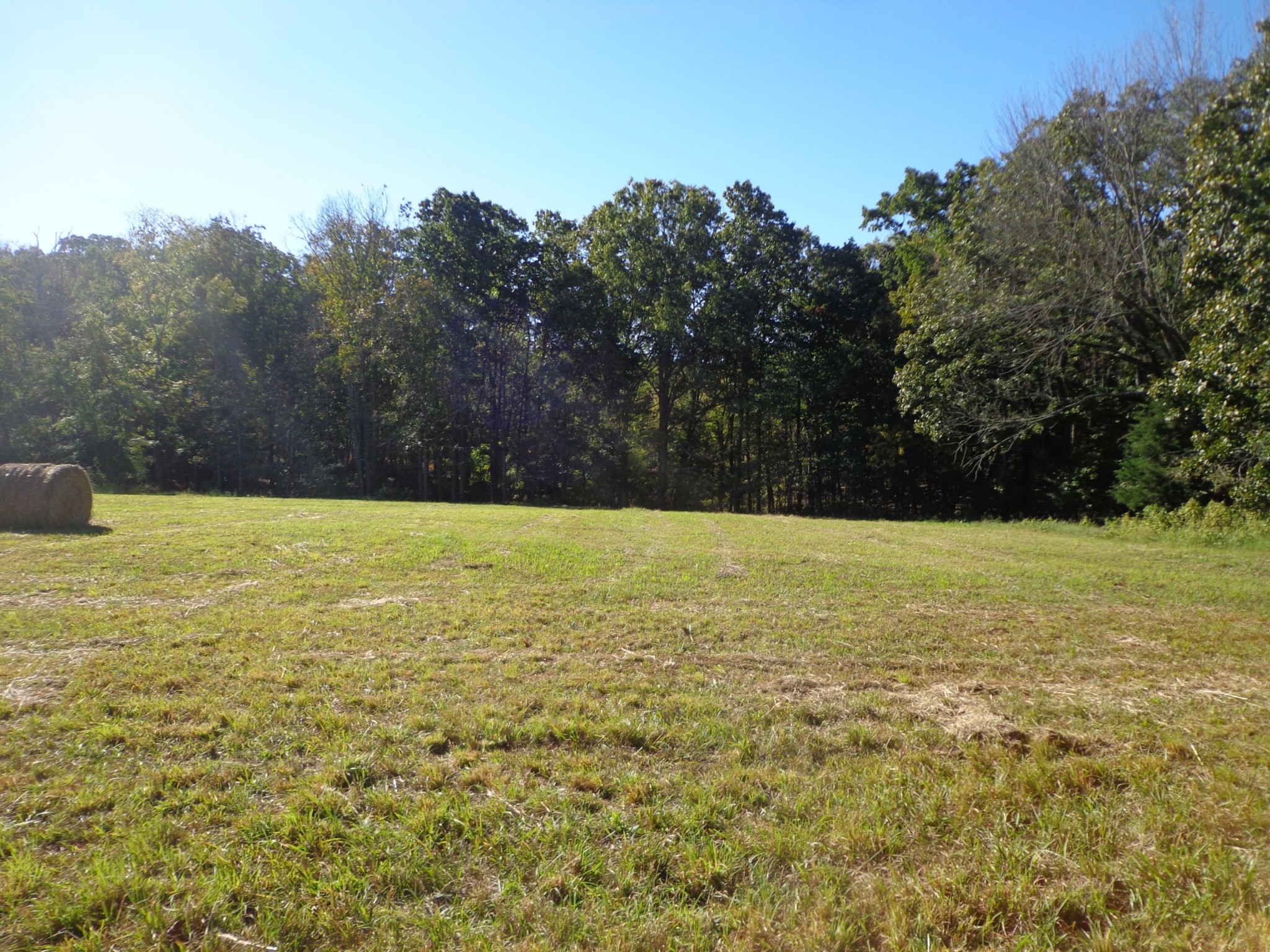 0 Halls Creek Road Waverly TN 37185