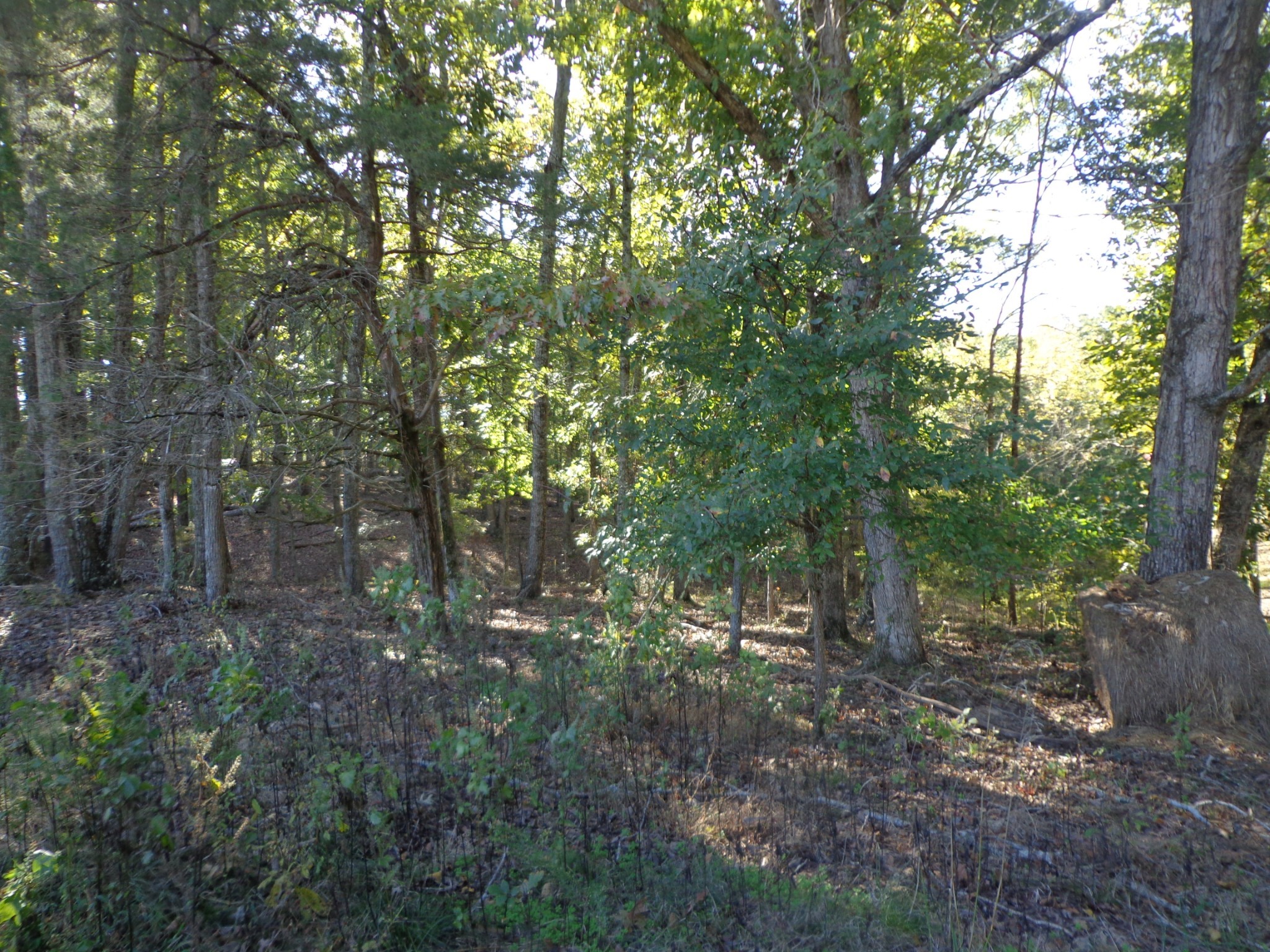 0 Halls Creek Road Waverly TN 37185