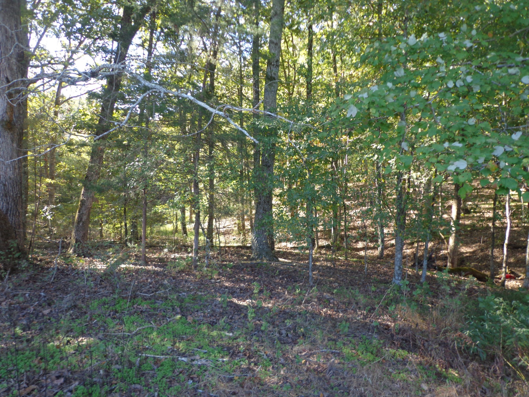 0 Halls Creek Road Waverly TN 37185