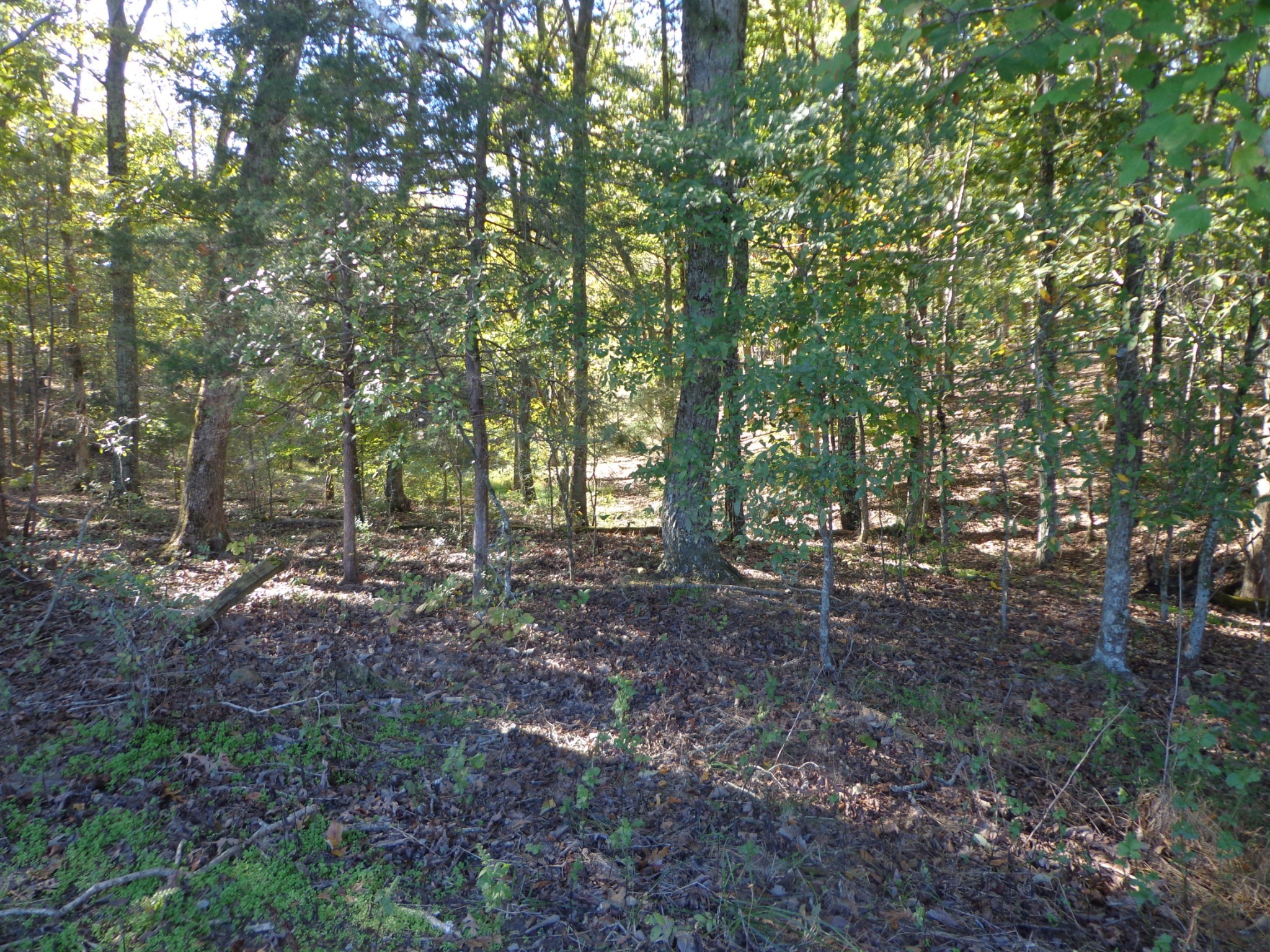 0 Halls Creek Road Waverly TN 37185