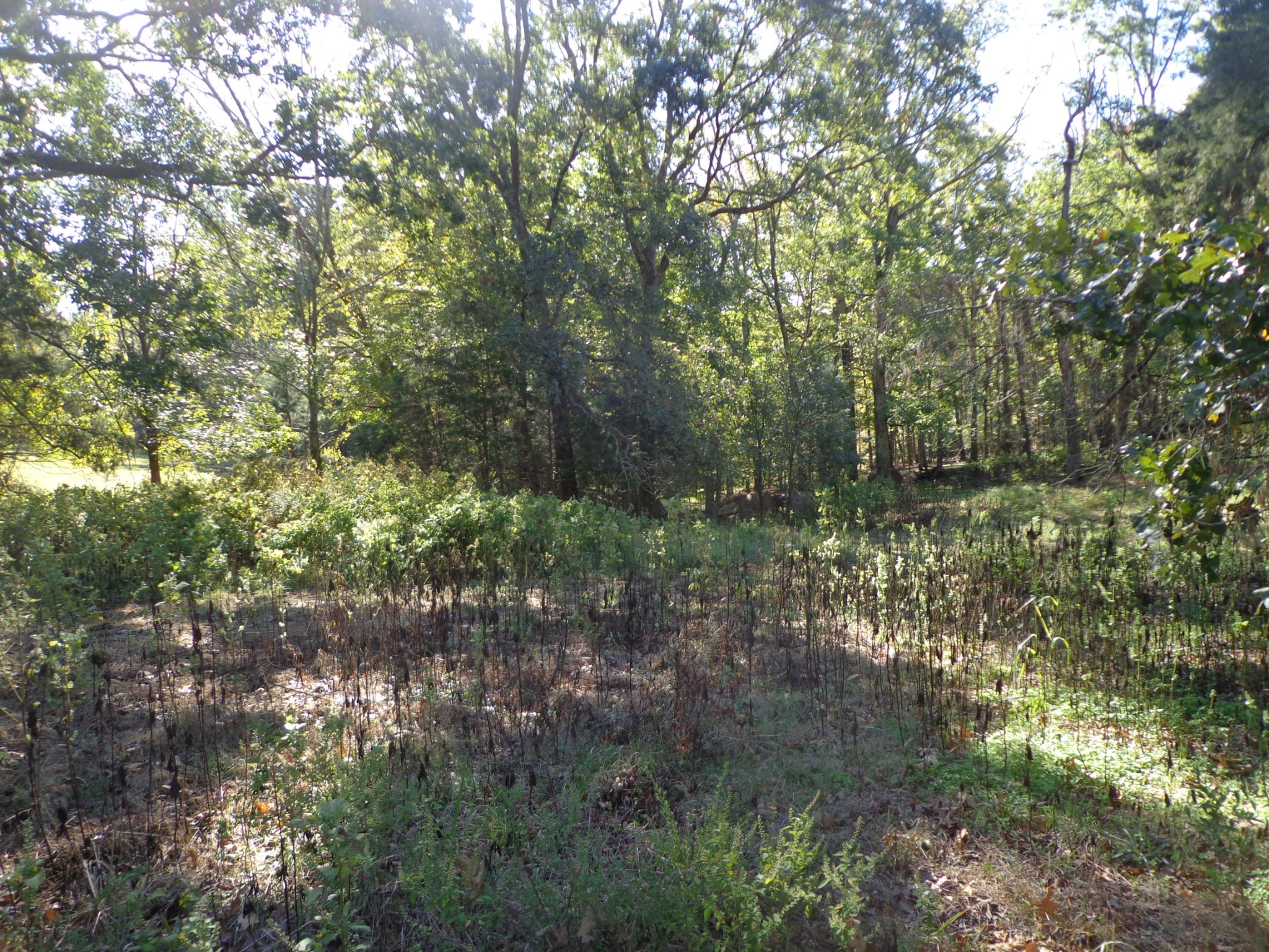 0 Halls Creek Road Waverly TN 37185