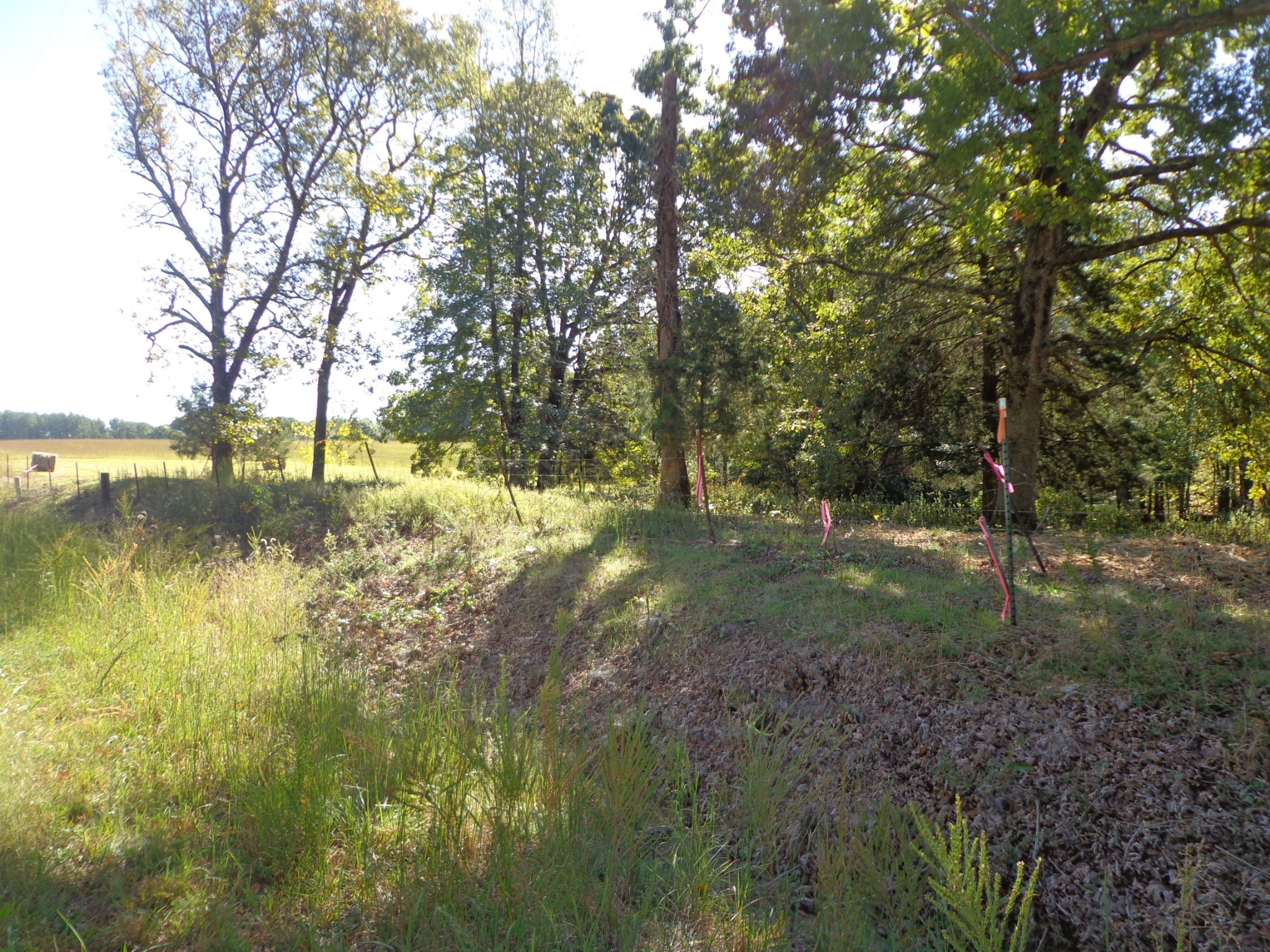 0 Halls Creek Road Waverly TN 37185