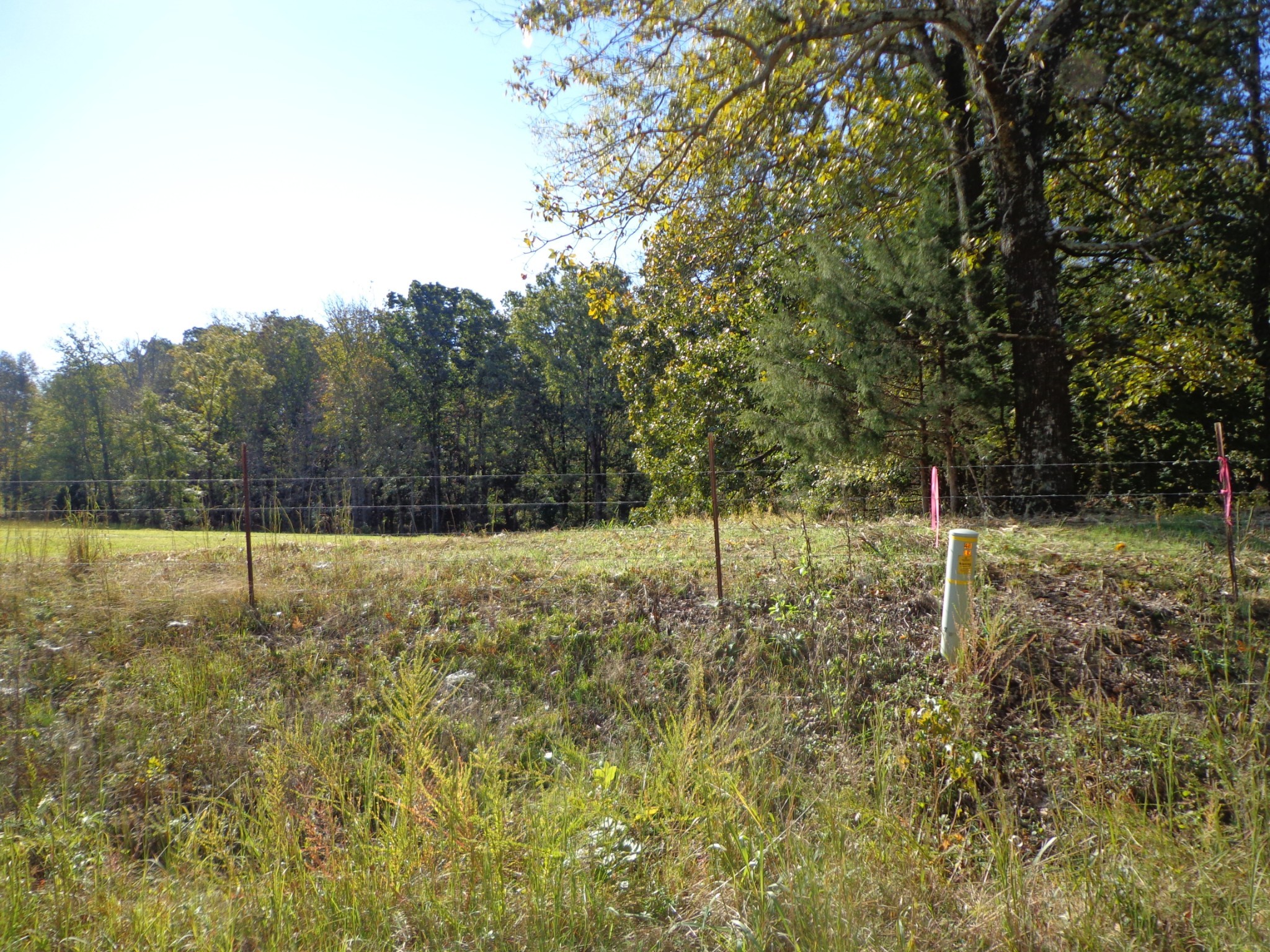 0 Halls Creek Road Waverly TN 37185